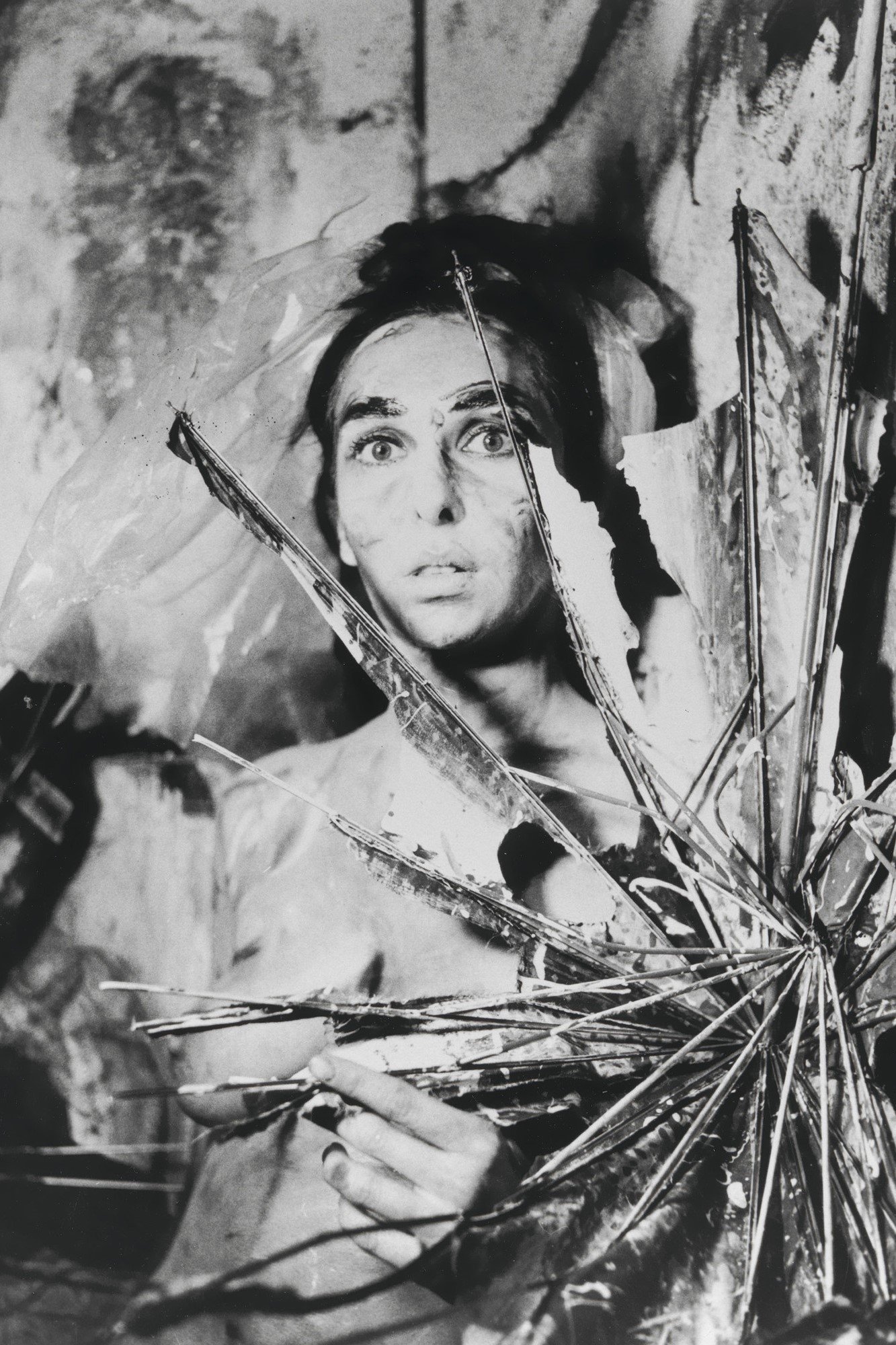 Foto de Carolee Schneemann