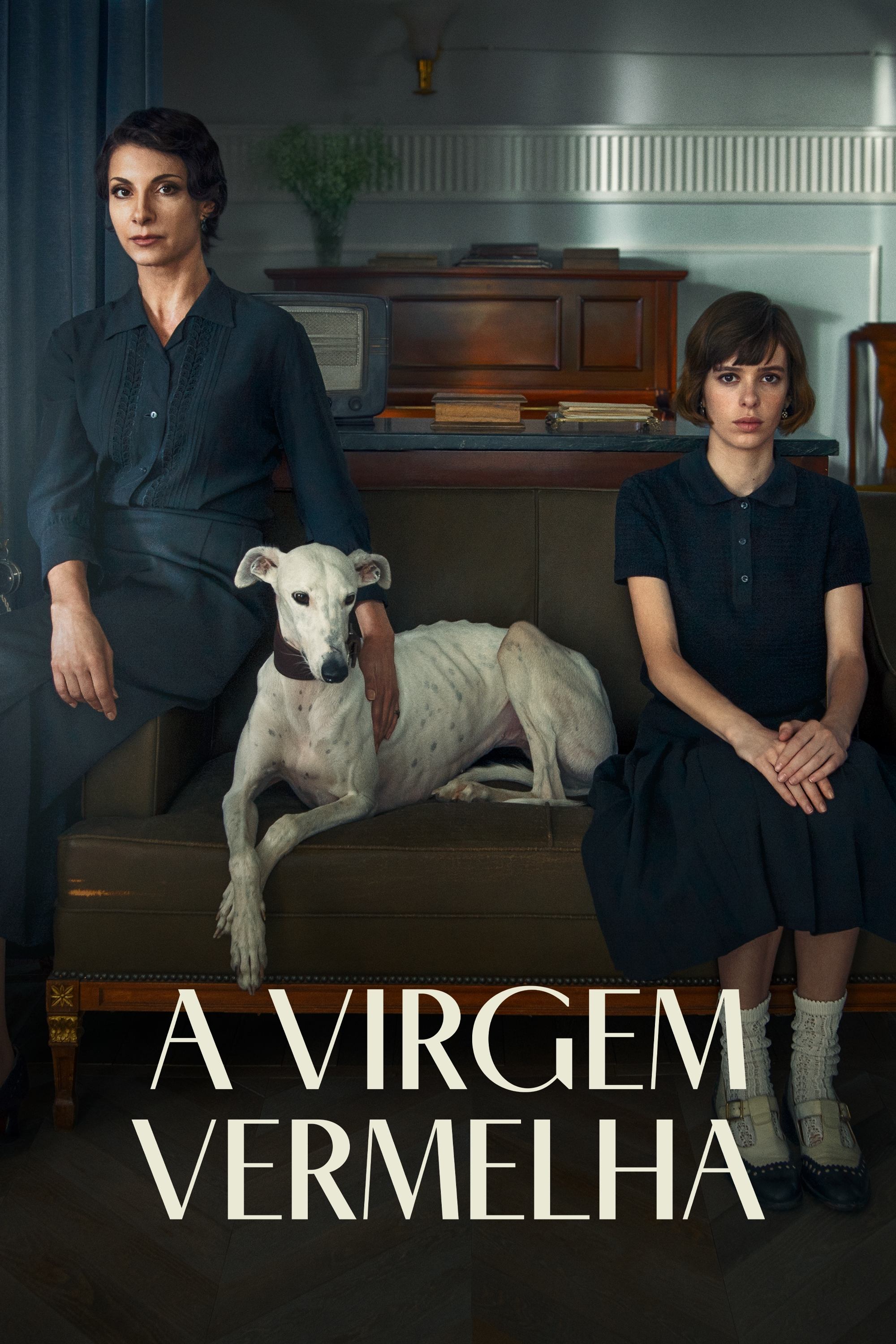 Poster de A Virgem Vermelha
