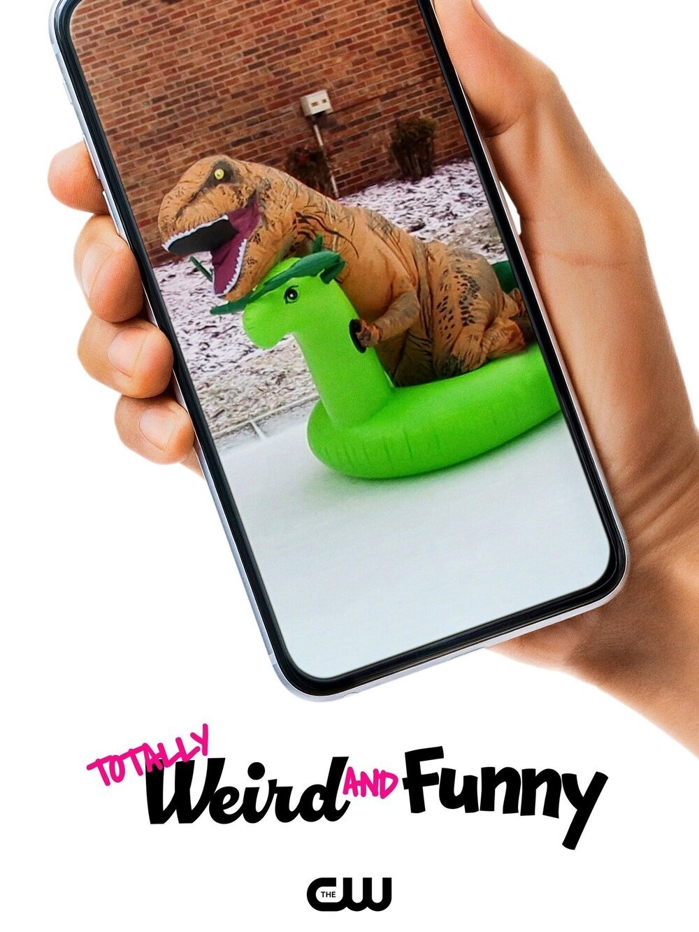 Poster de Totally Weird and Funny