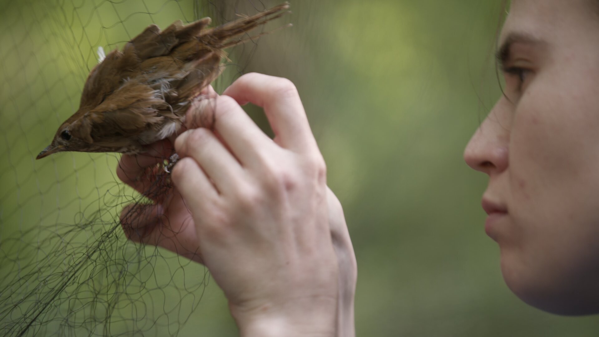 Connected