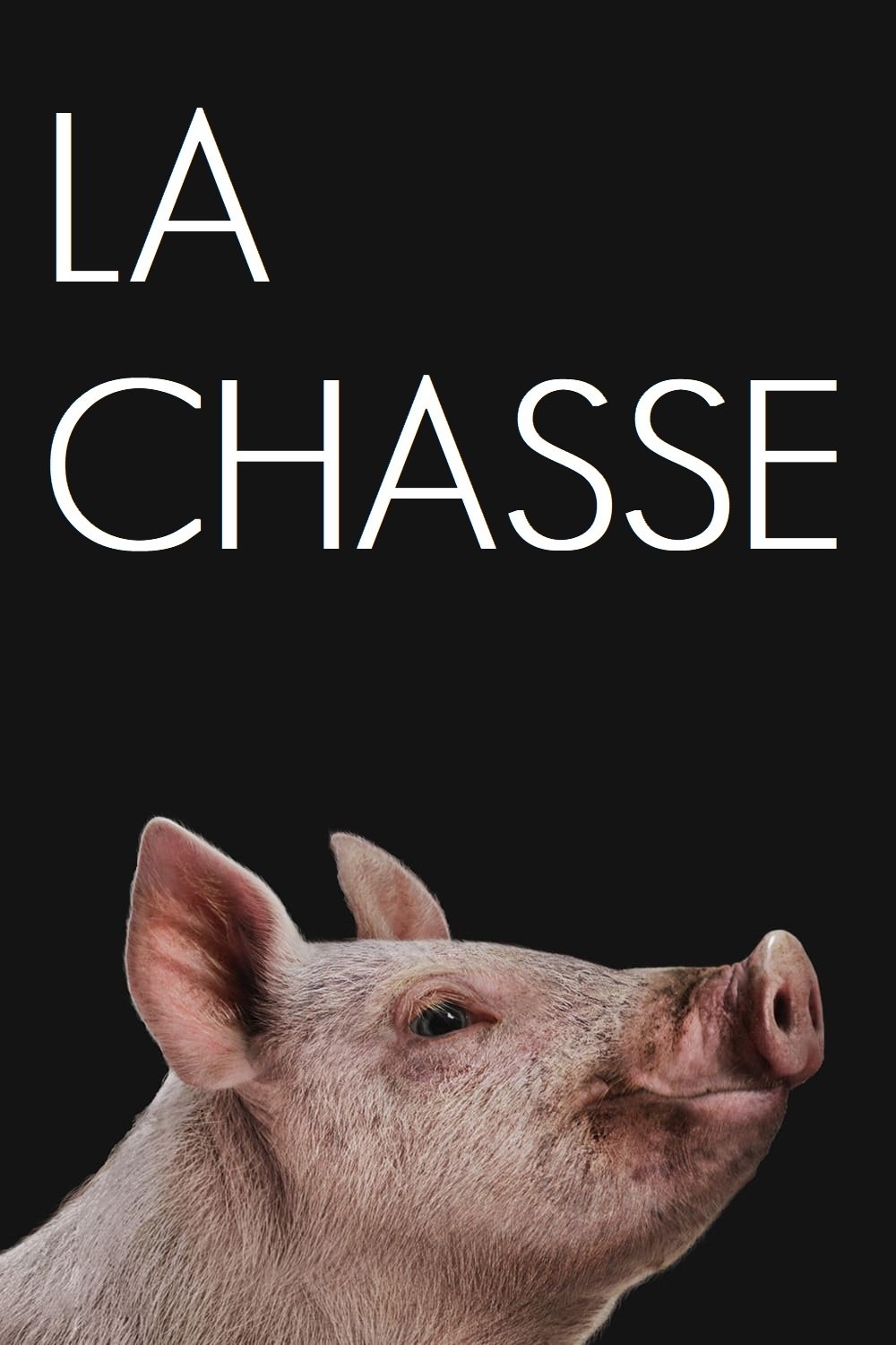 Affiche du film The Hunt