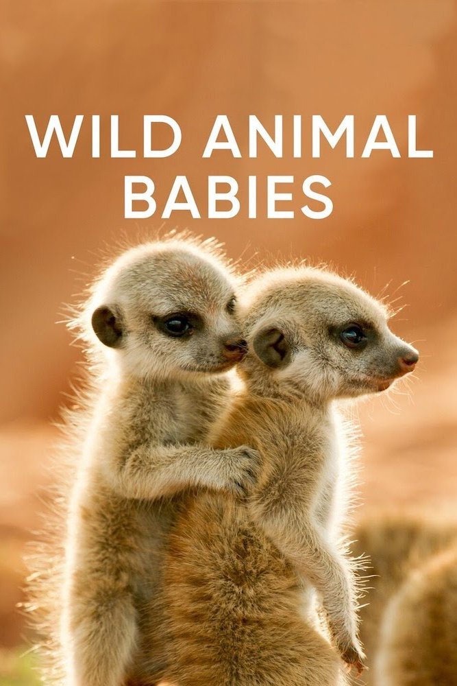 Poster de Wild Animals Babies