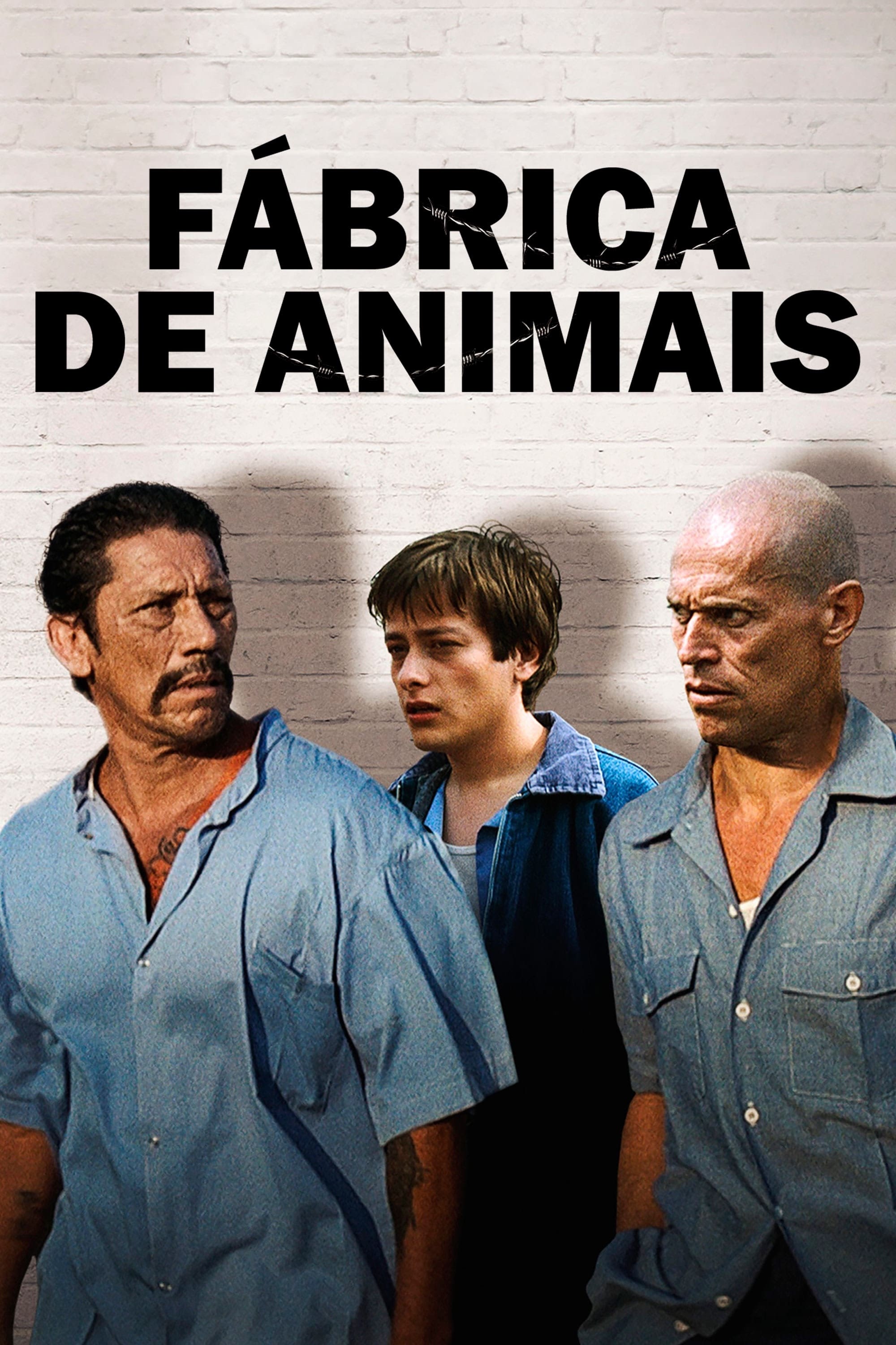 Poster de Fábrica de Animais