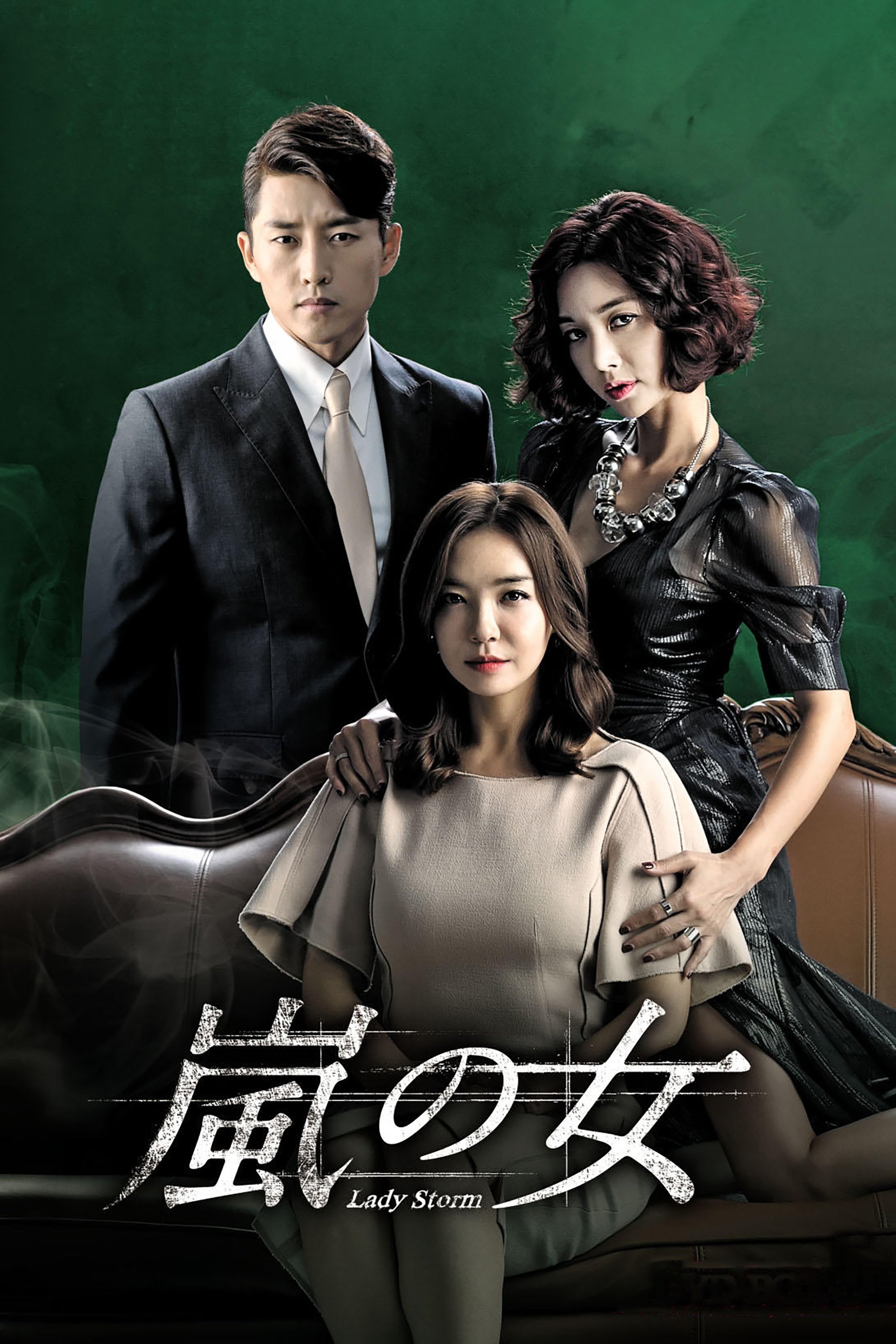 Poster de 폭풍의 여자