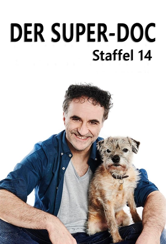 Poster de Temporada 14