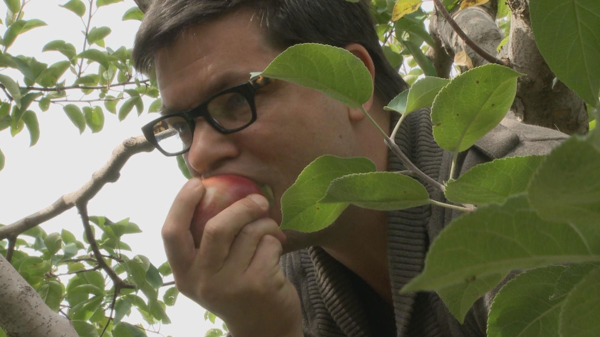 Brightonwoods Orchard