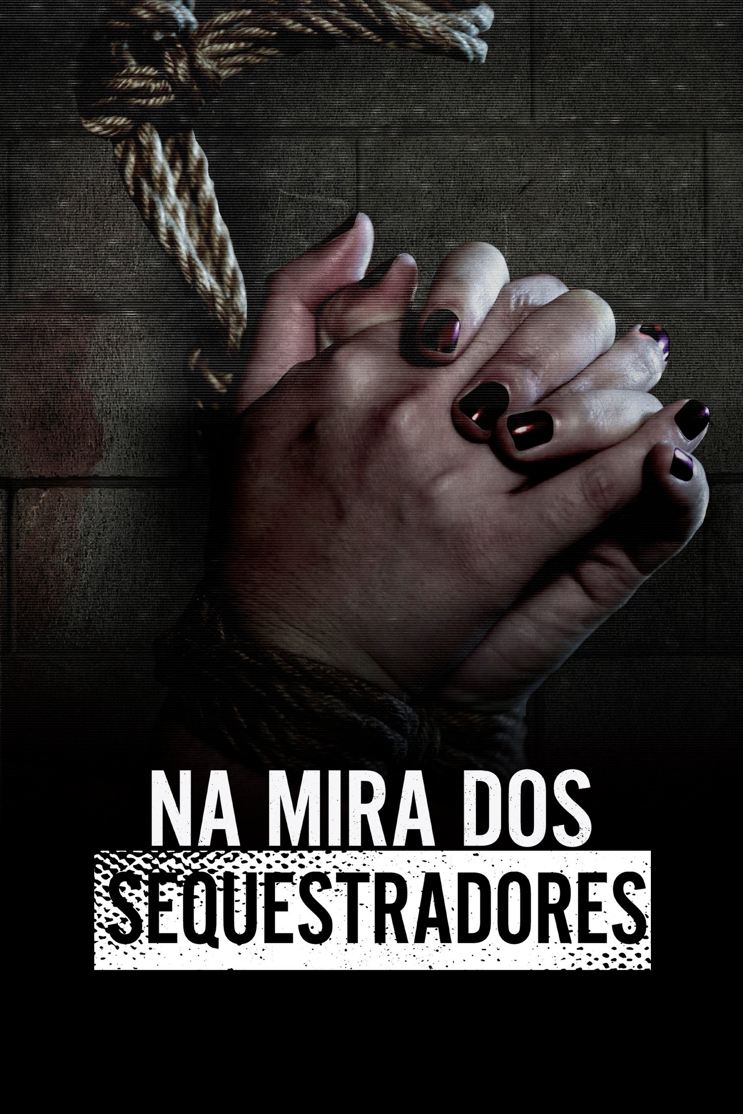 Poster de Na Mira dos Sequestradores