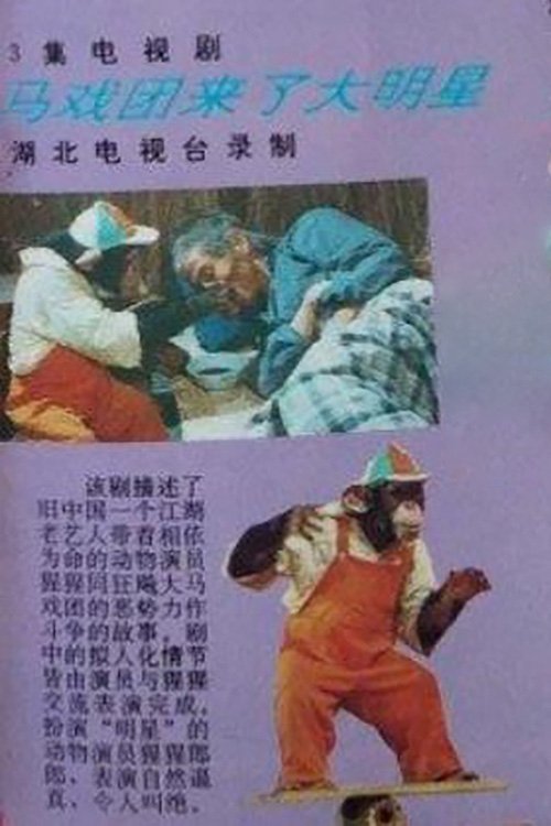 Poster de 马戏团来了大明星