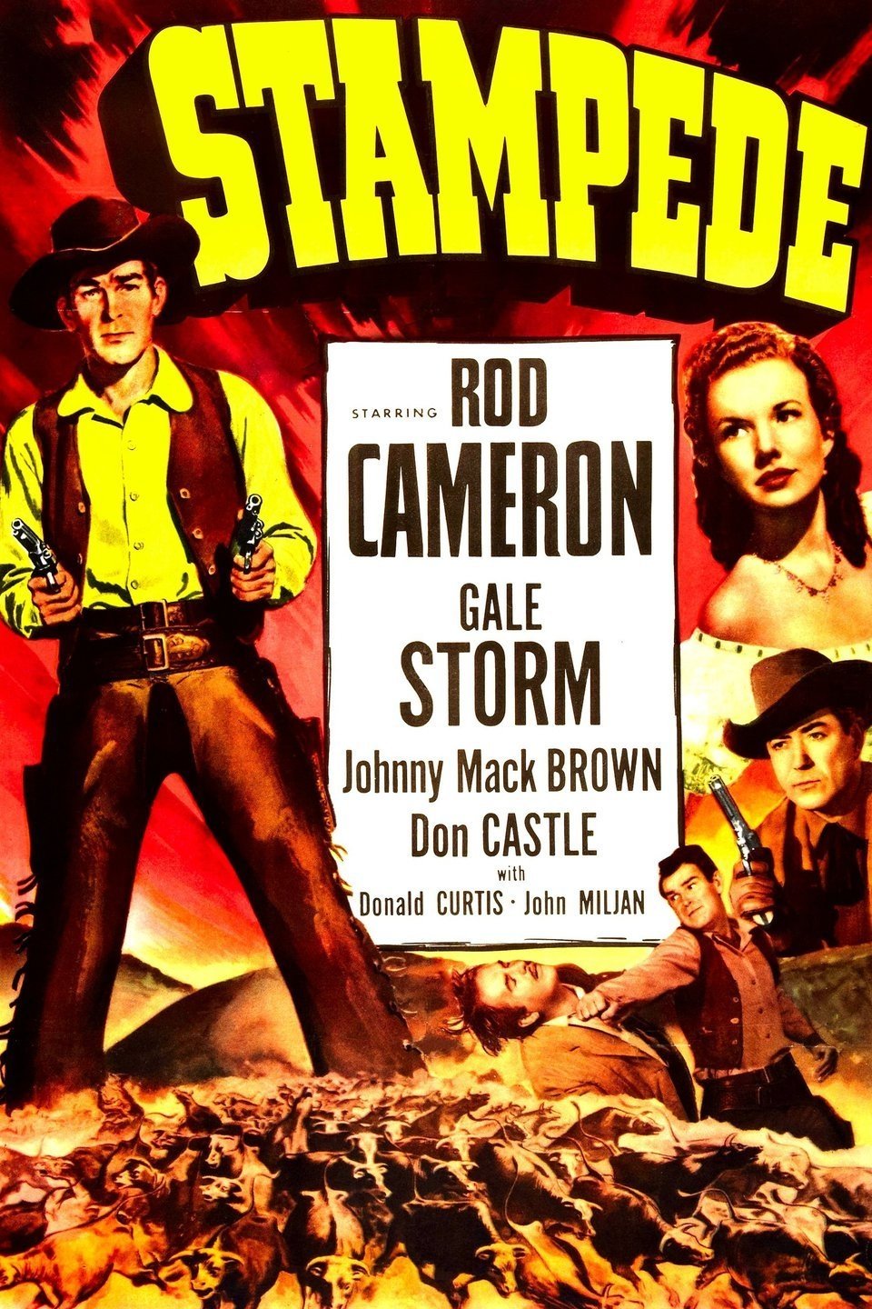 Poster de Stampede