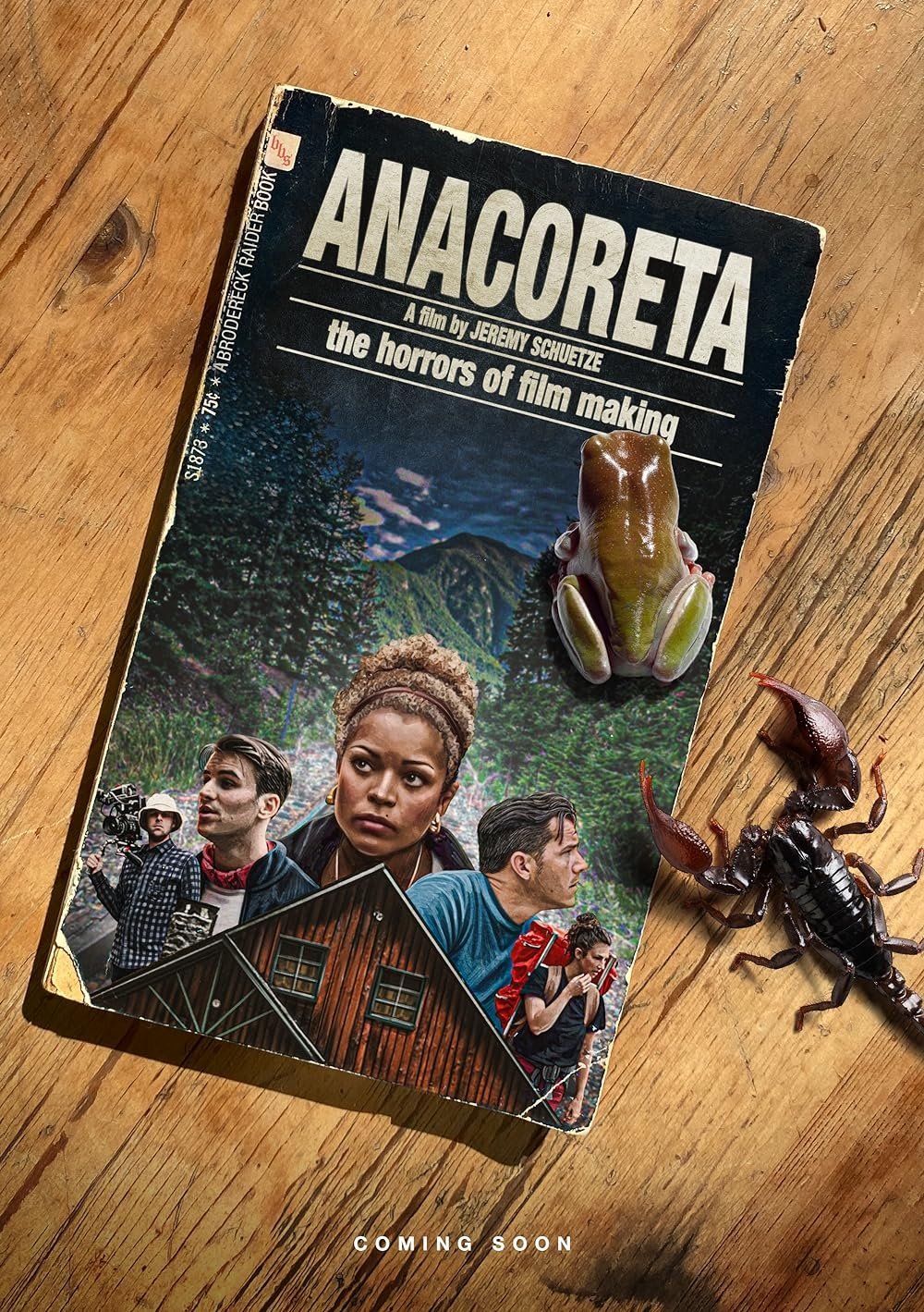 Affiche du film Anacoreta