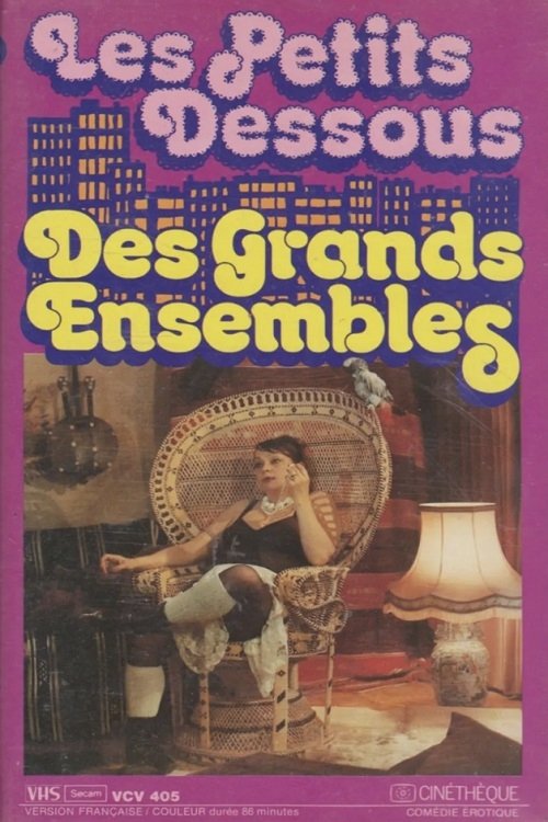 Poster de Les petits dessous des grands ensembles
