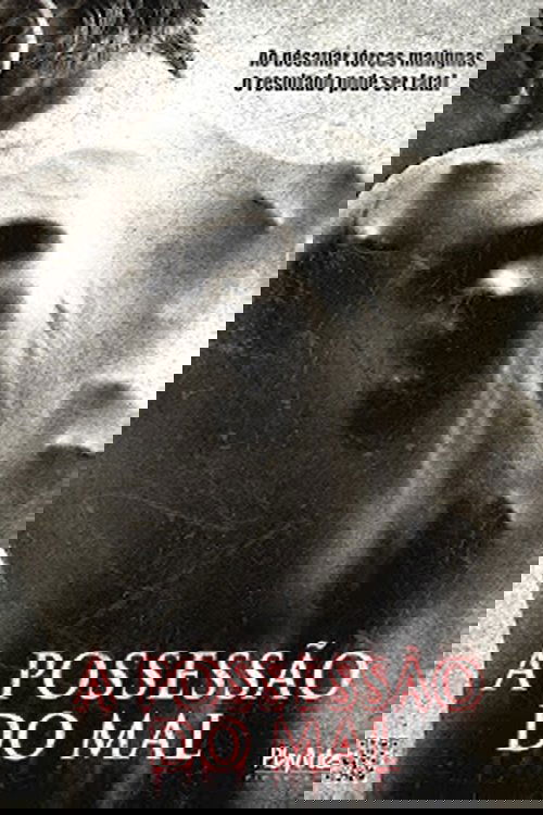 Poster de A Possessão do Mal