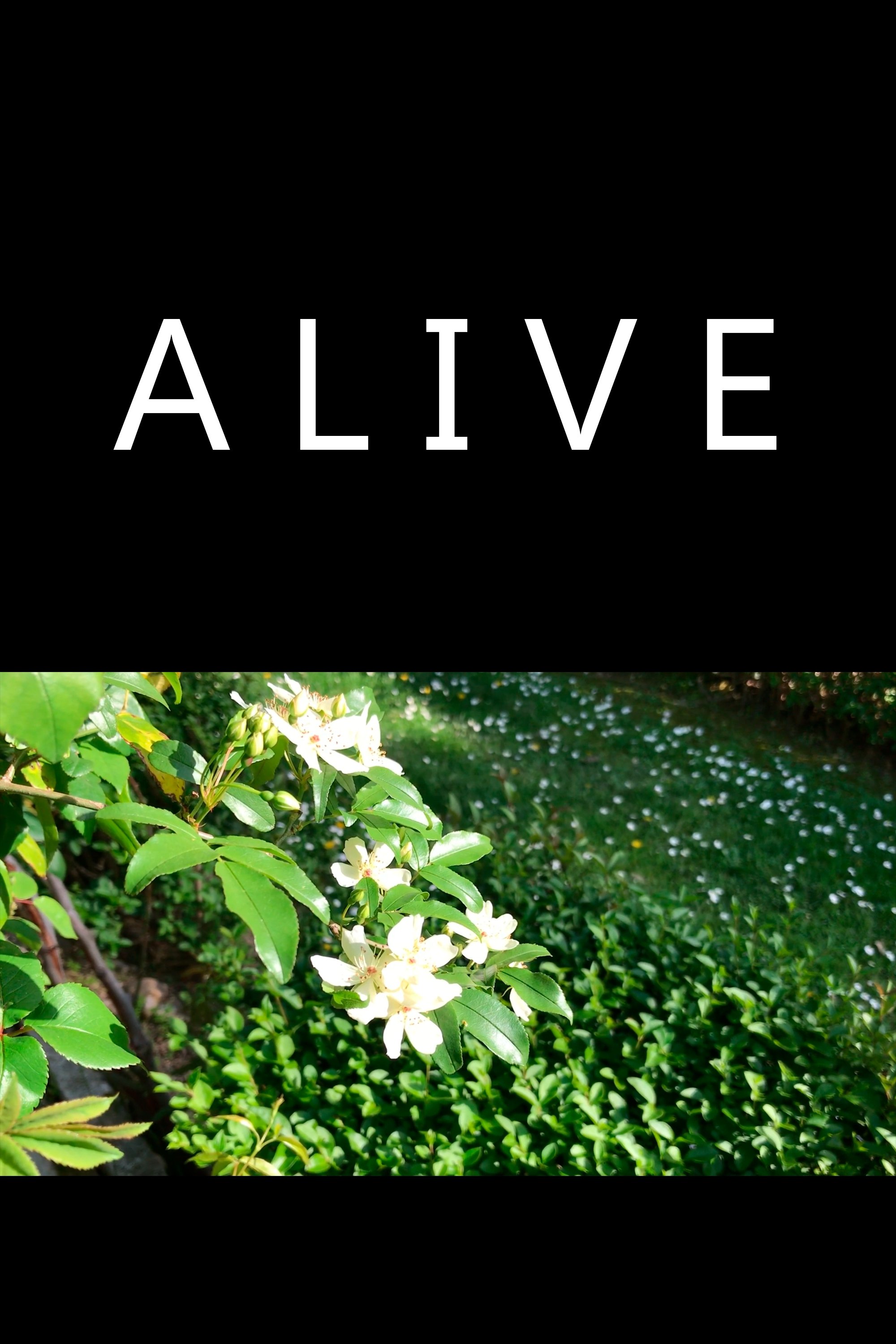 Poster de Alive