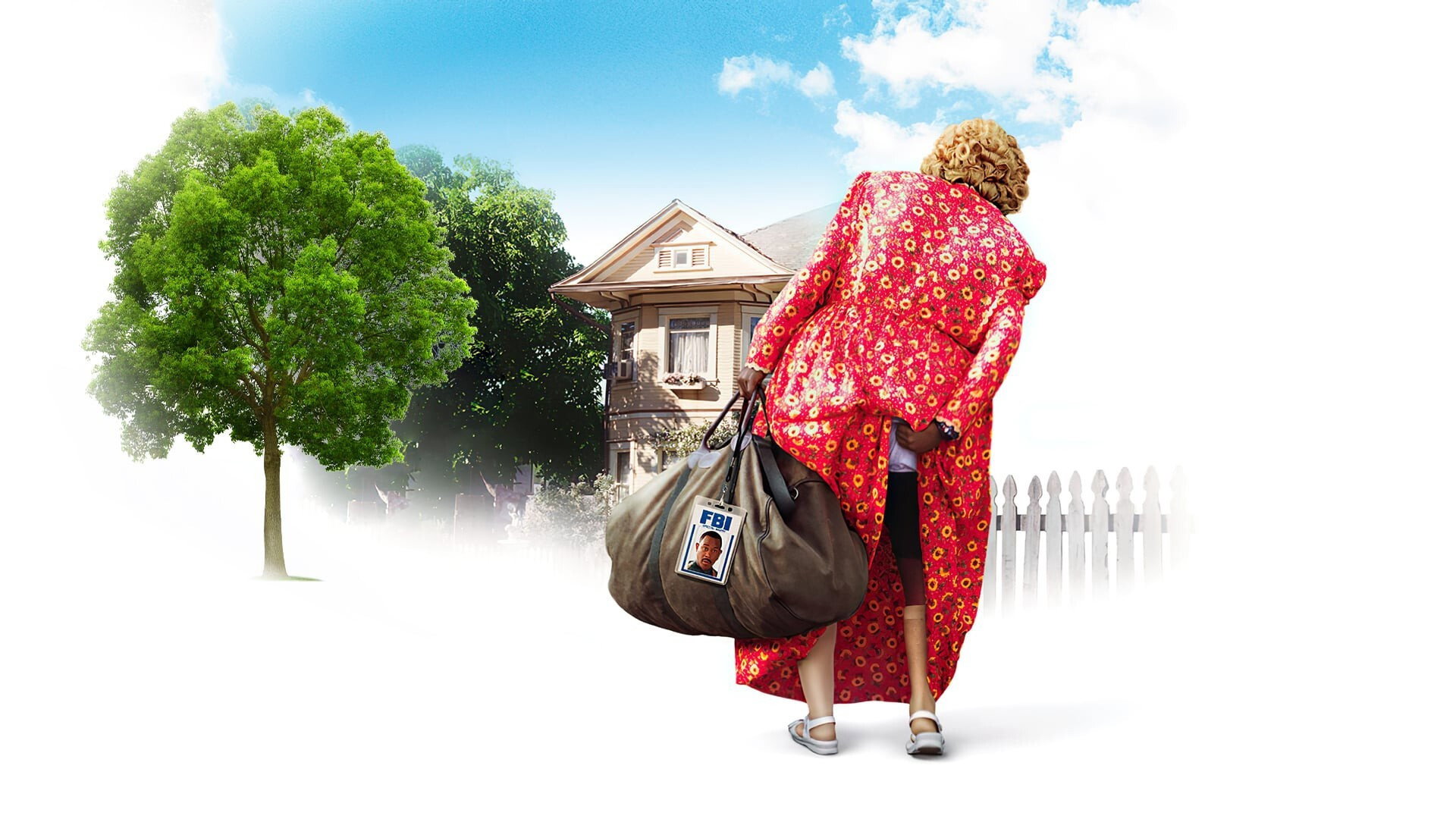 Big Momma's House Collection