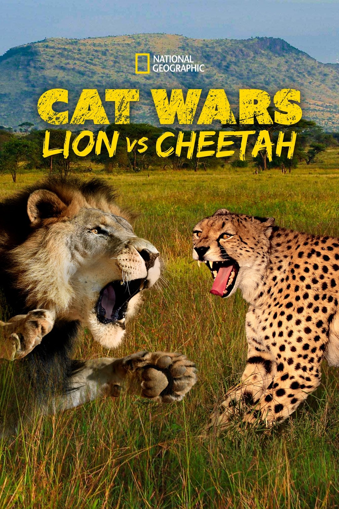 Poster de Cat Wars: Lion vs. Cheetah