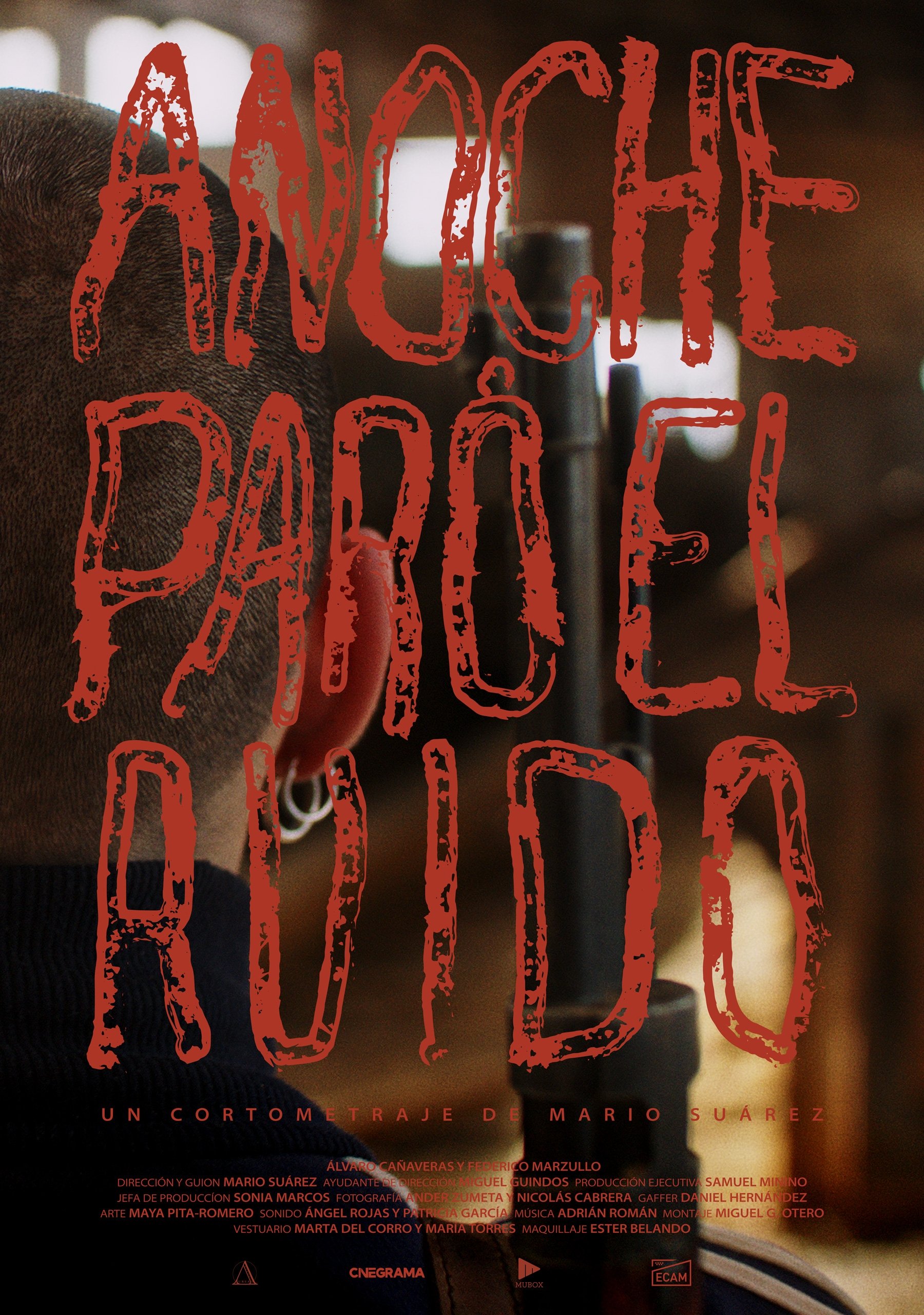 Poster de Anoche paró el ruido