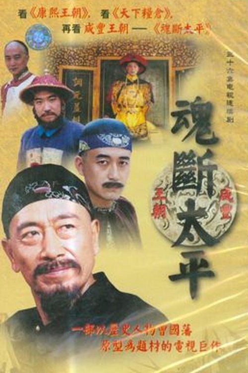Poster de 魂断太平