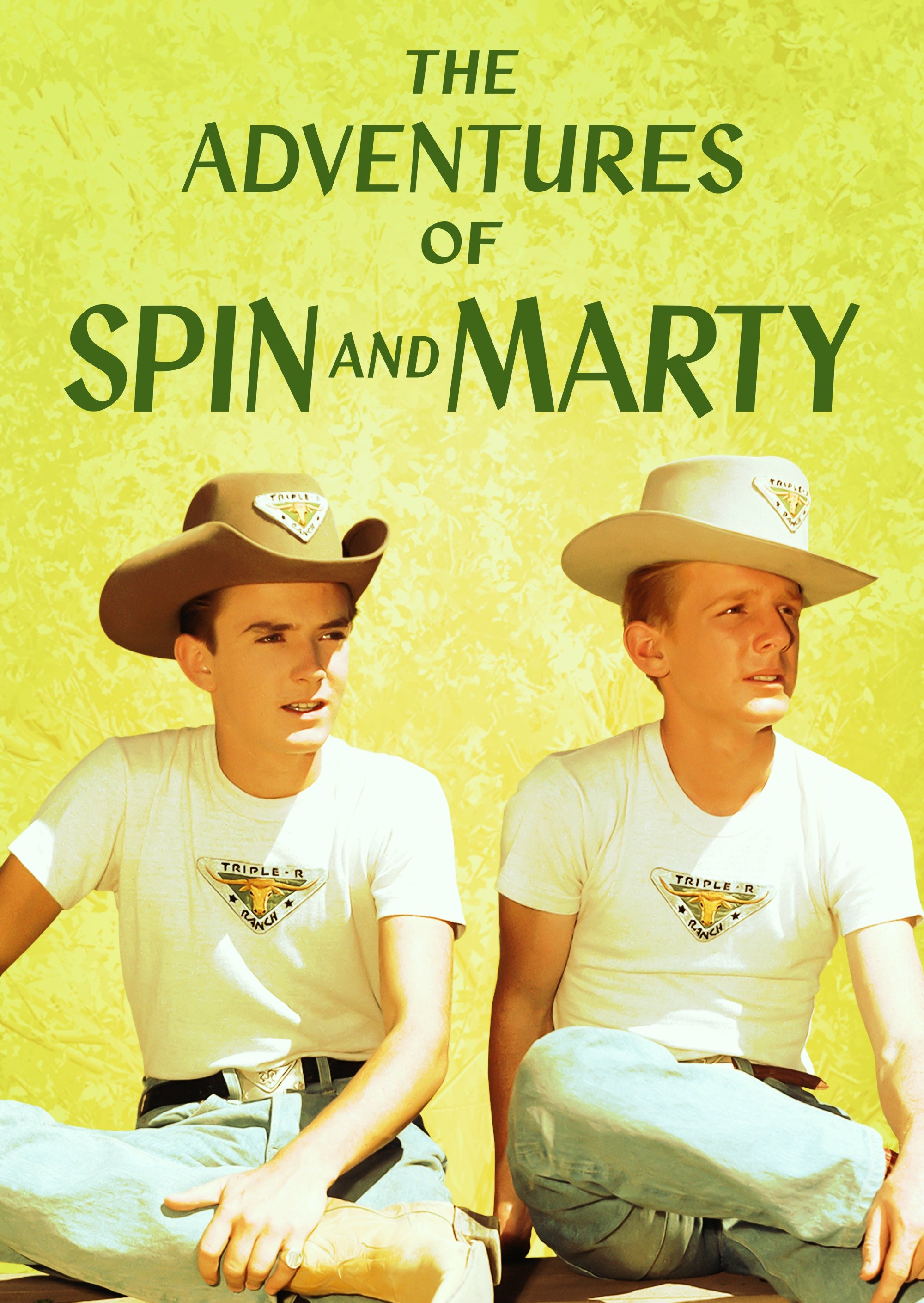 Poster de The Adventures of Spin and Marty