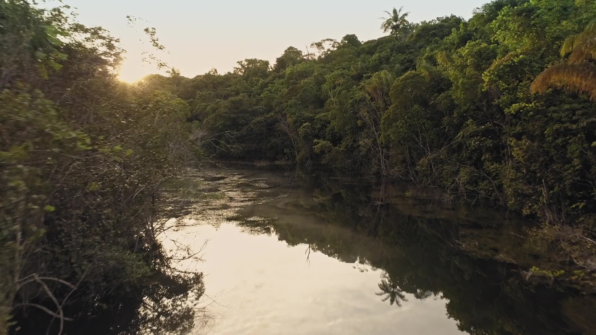 Last of the Giants