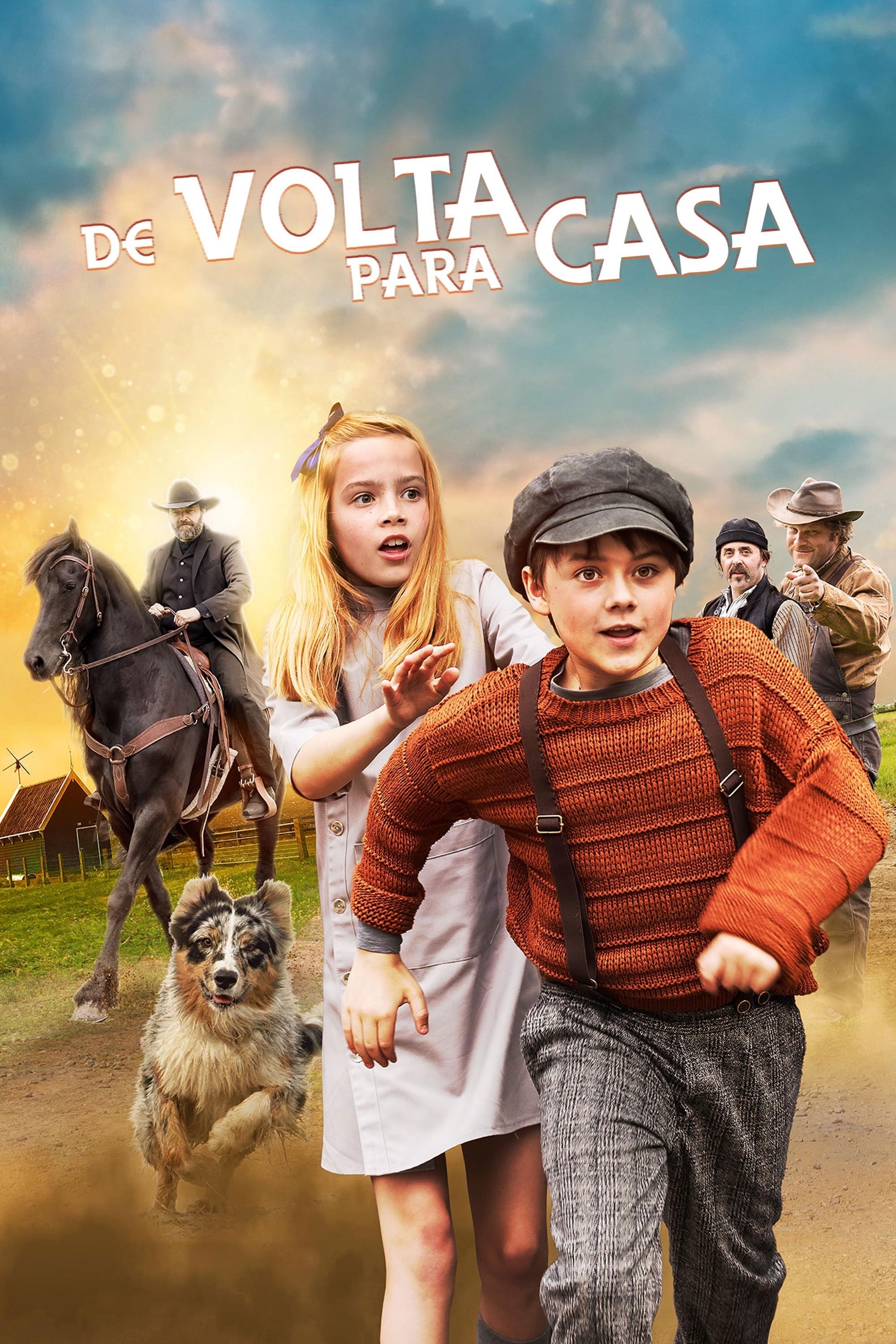 Poster de De Volta para Casa