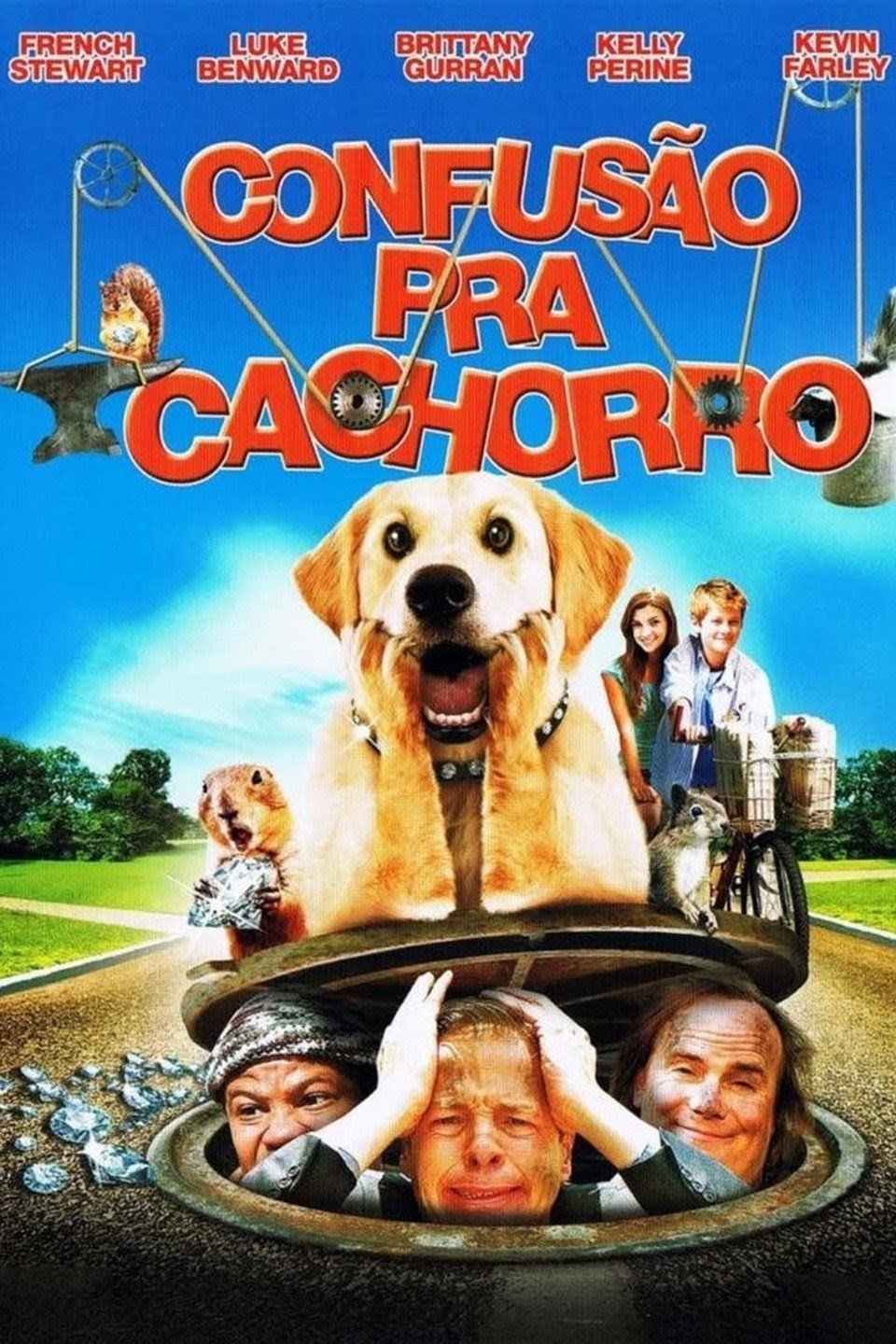 Poster de Confusão Pra Cachorro