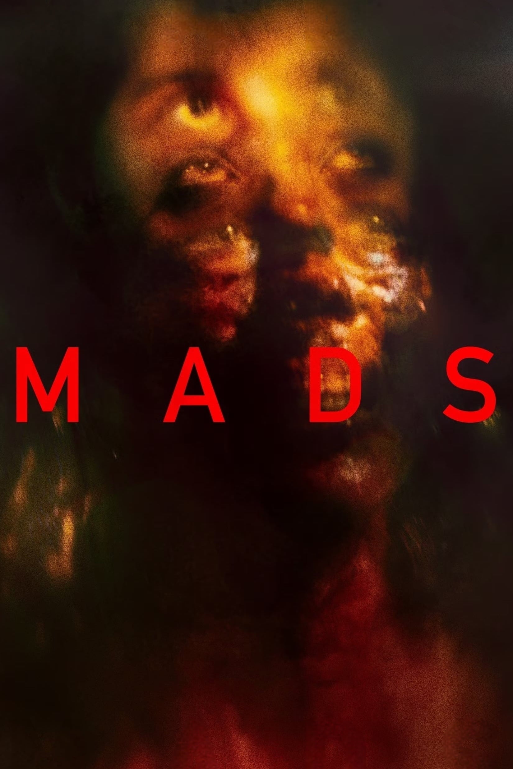 Poster de MadS