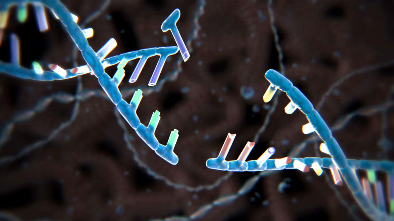 Le nuove frontiere del DNA