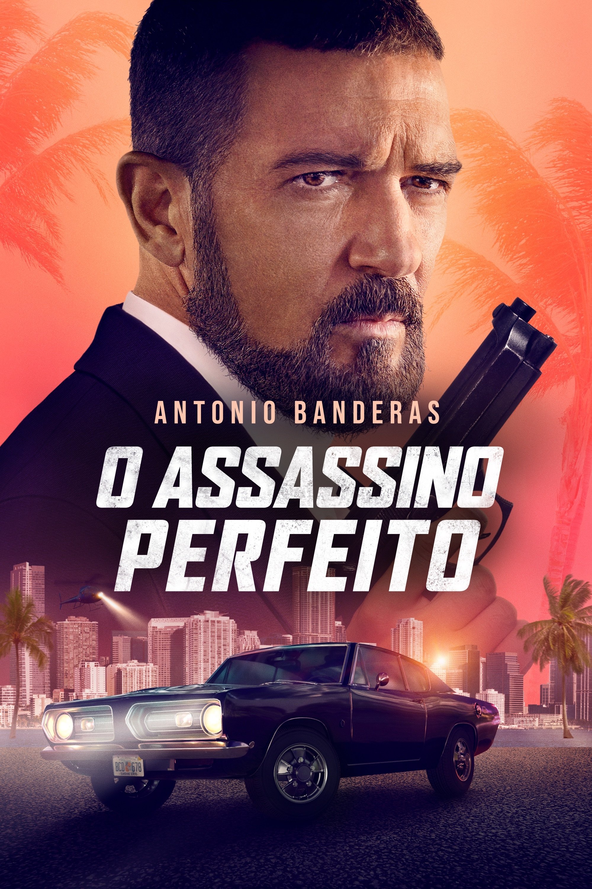 Poster de O Assassino Perfeito