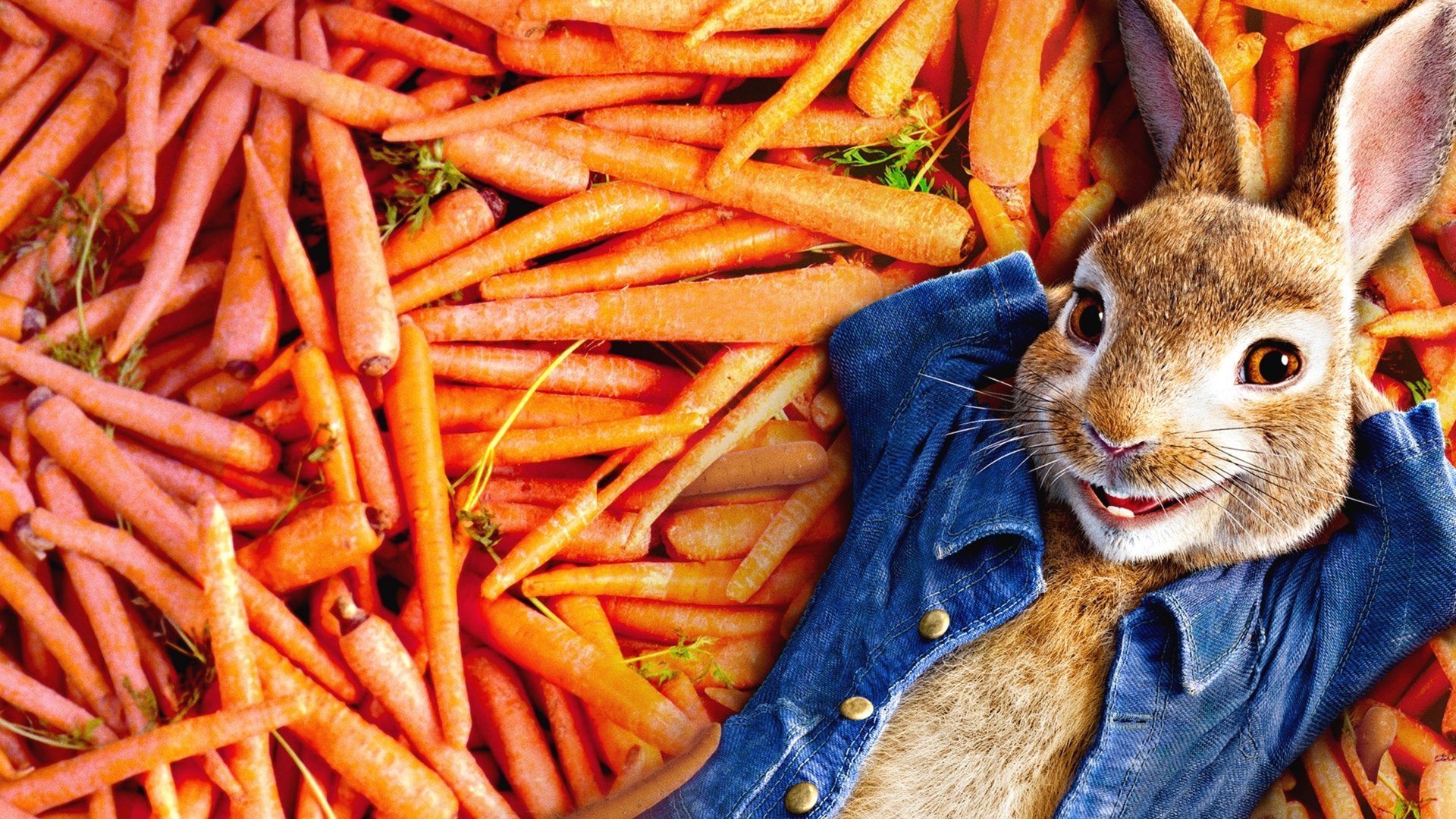 Peter Rabbit Collection