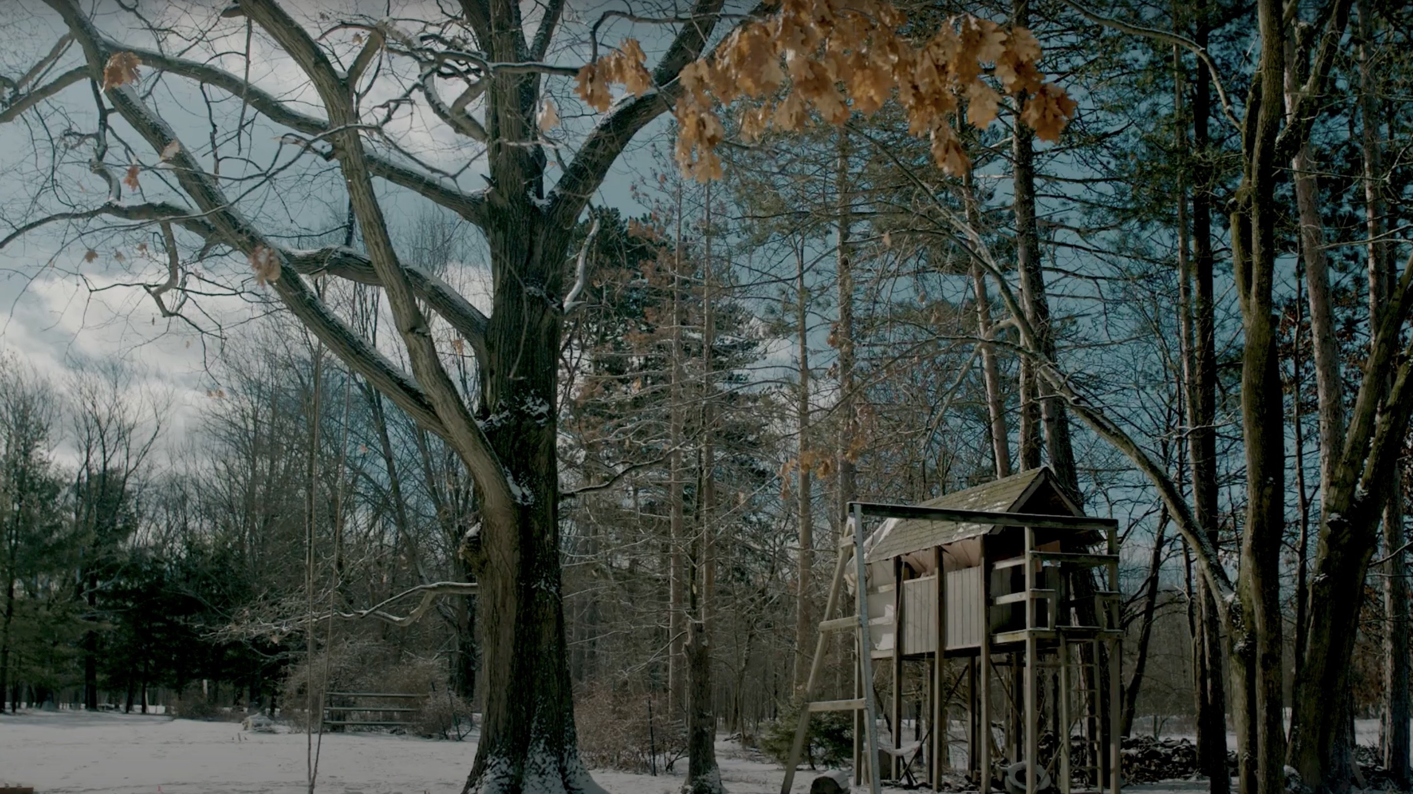 Treehouse