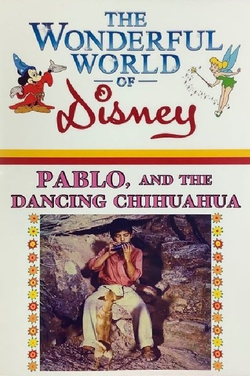 Poster de Pablo e a Chihuahua Dançarina