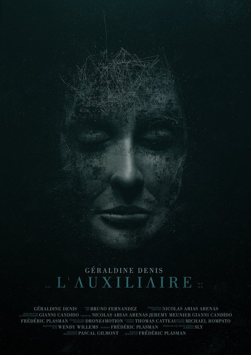 Poster de L'auxiliaire