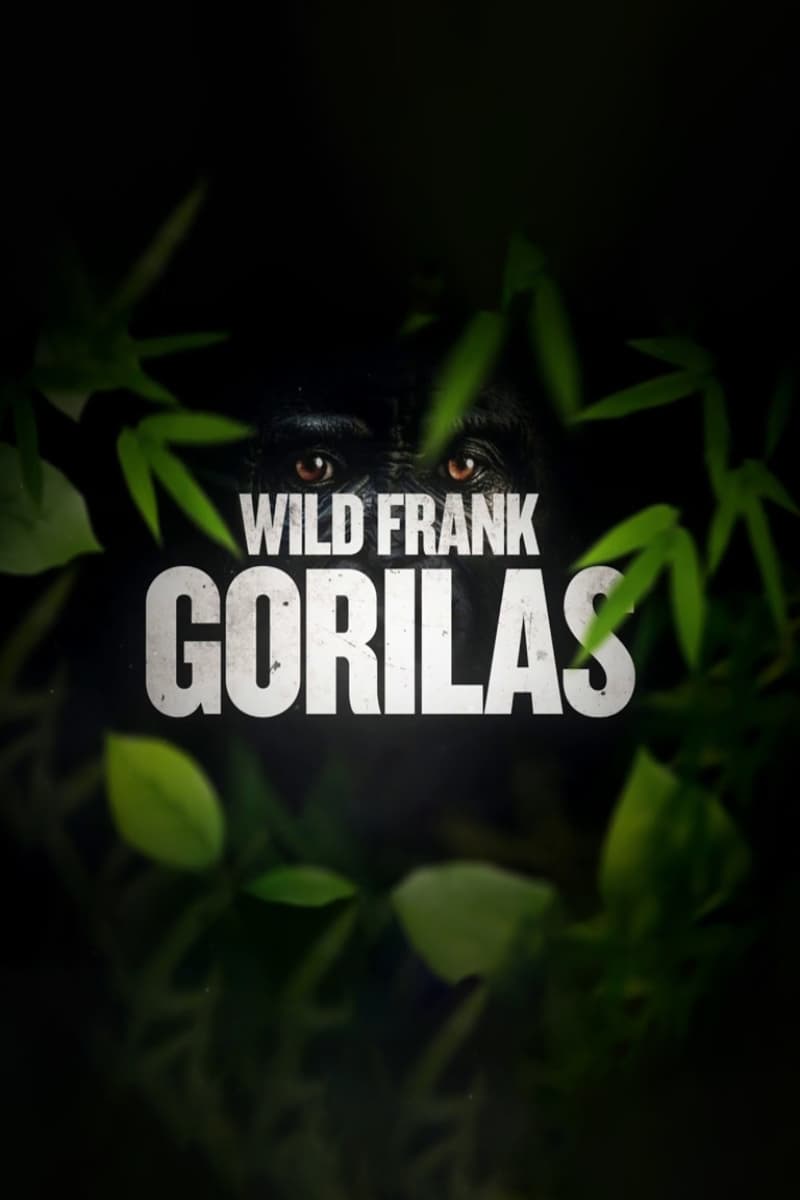 Poster de Temporada 12