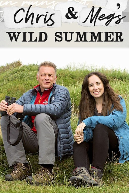 Poster de Chris and Meg's Wild Summer