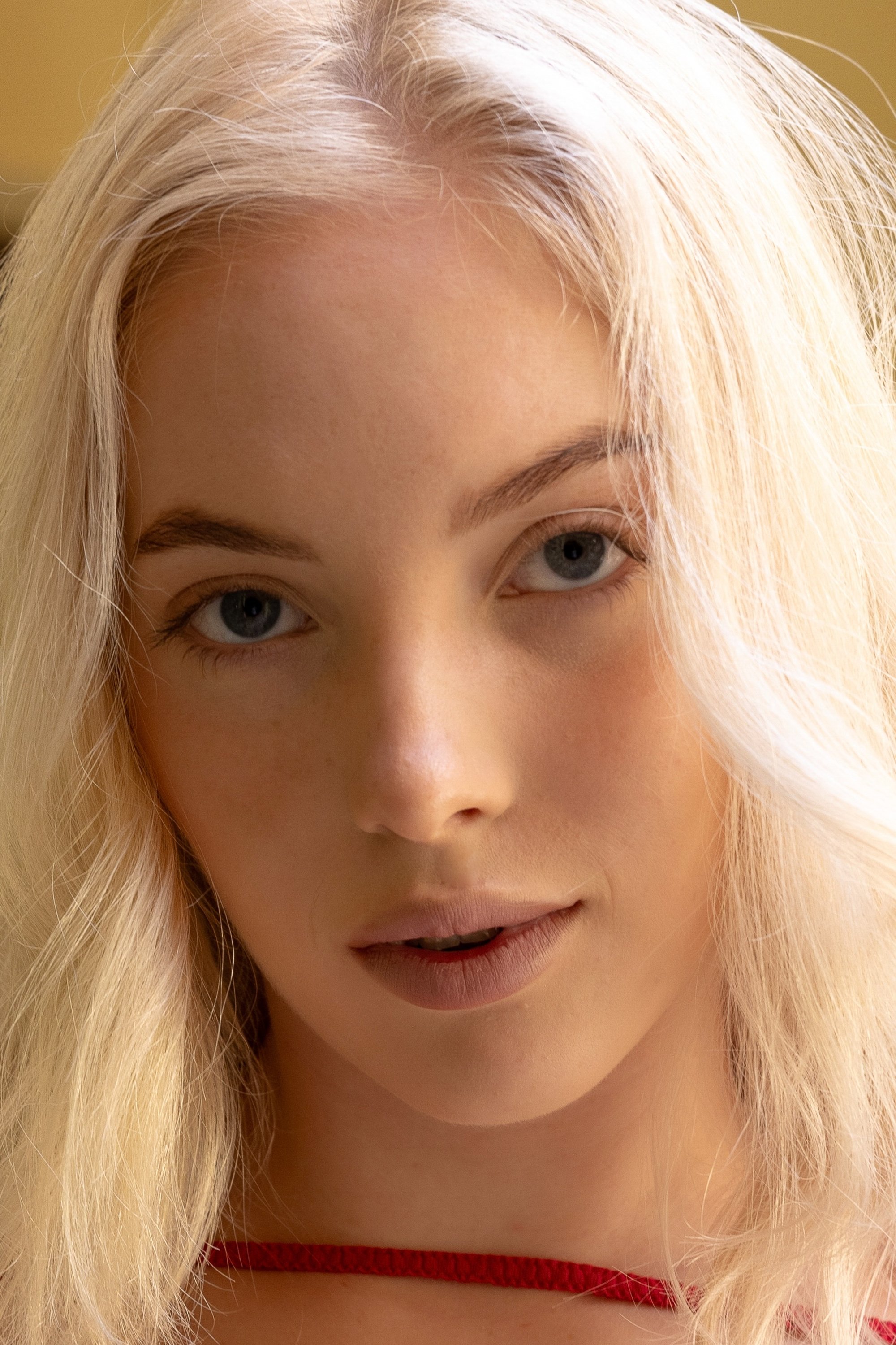 Foto de Bella Spark