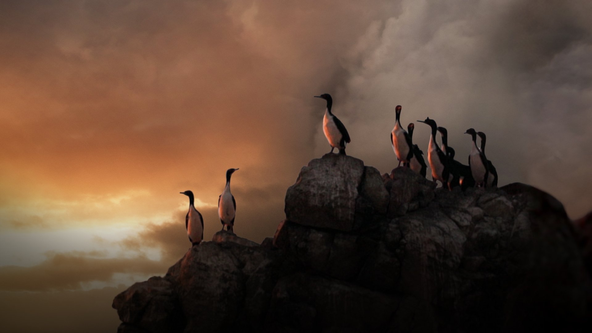 Backdrop image