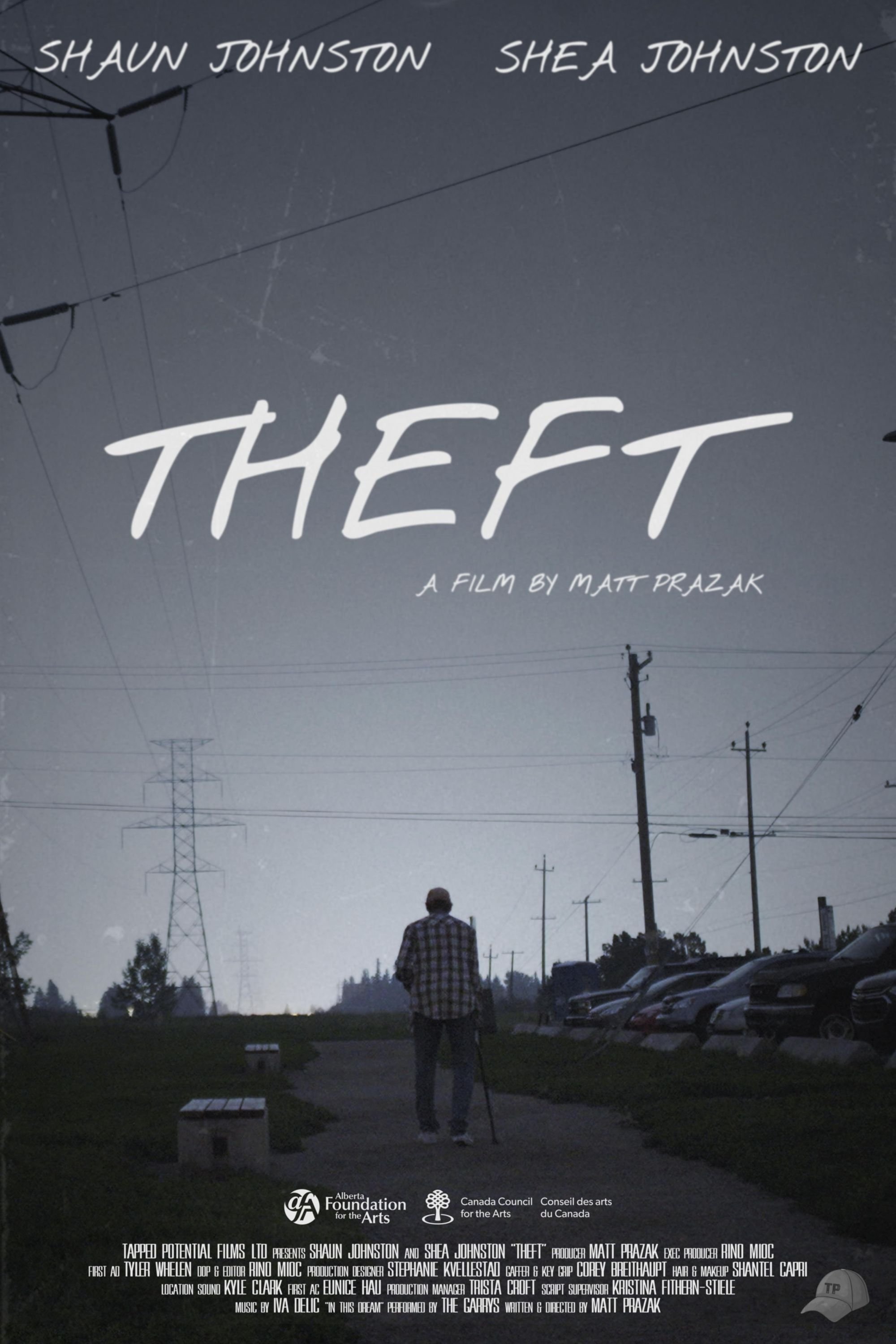 Poster de Theft