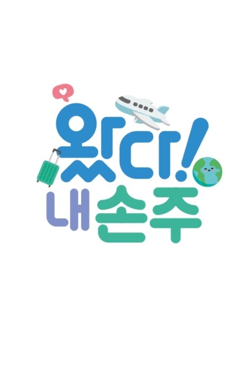 Poster de 왔다! 내 손주