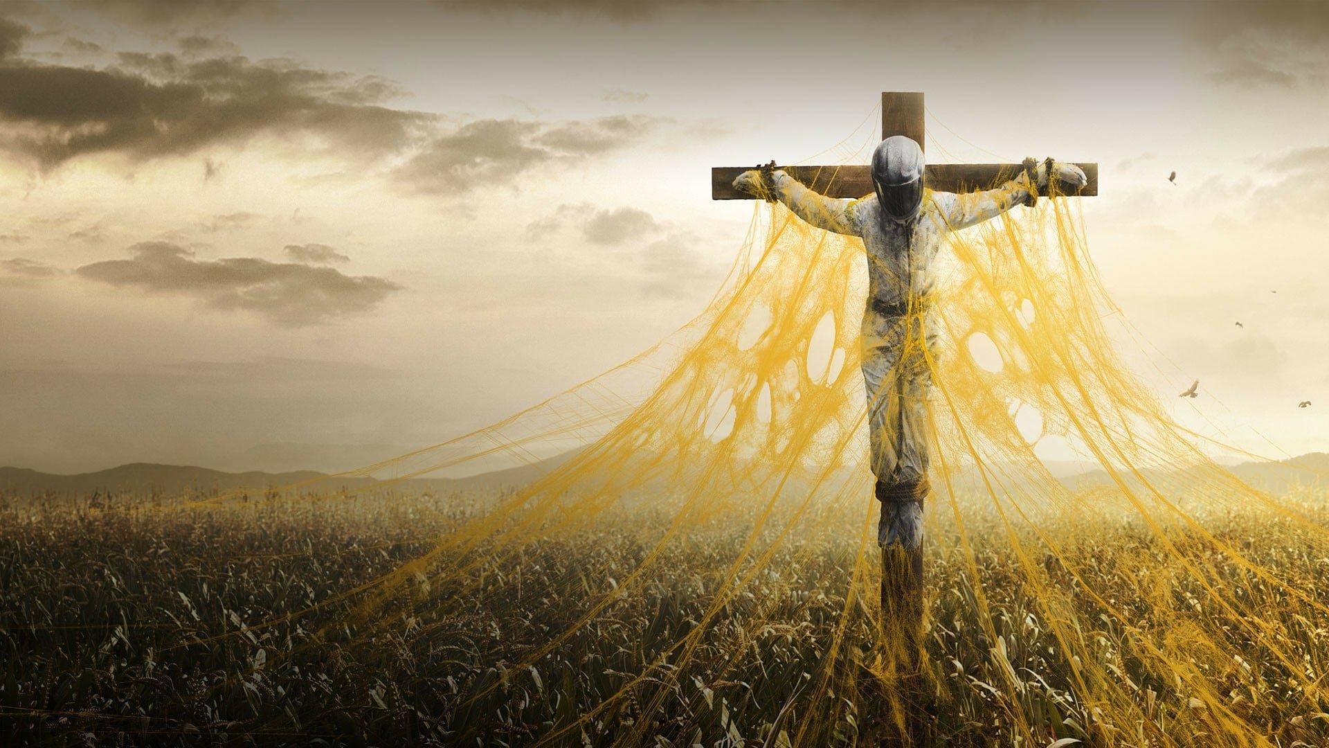 Backdrop image