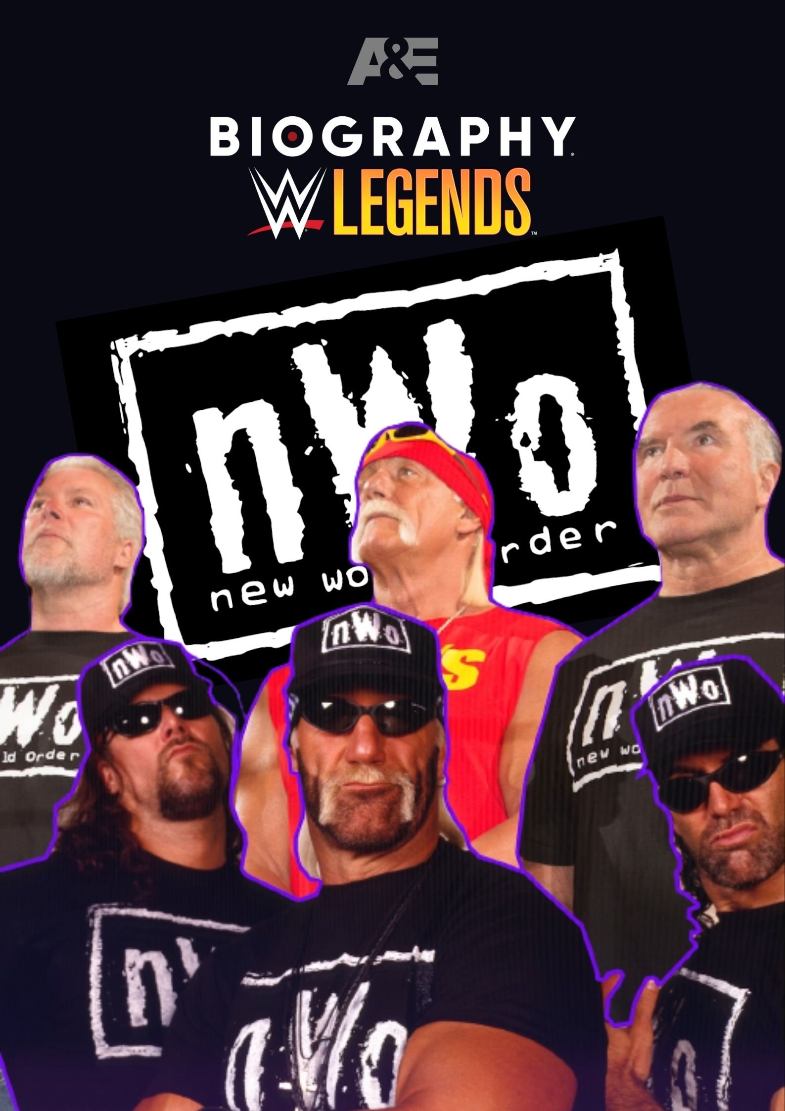 Affiche du film Biography: nWo