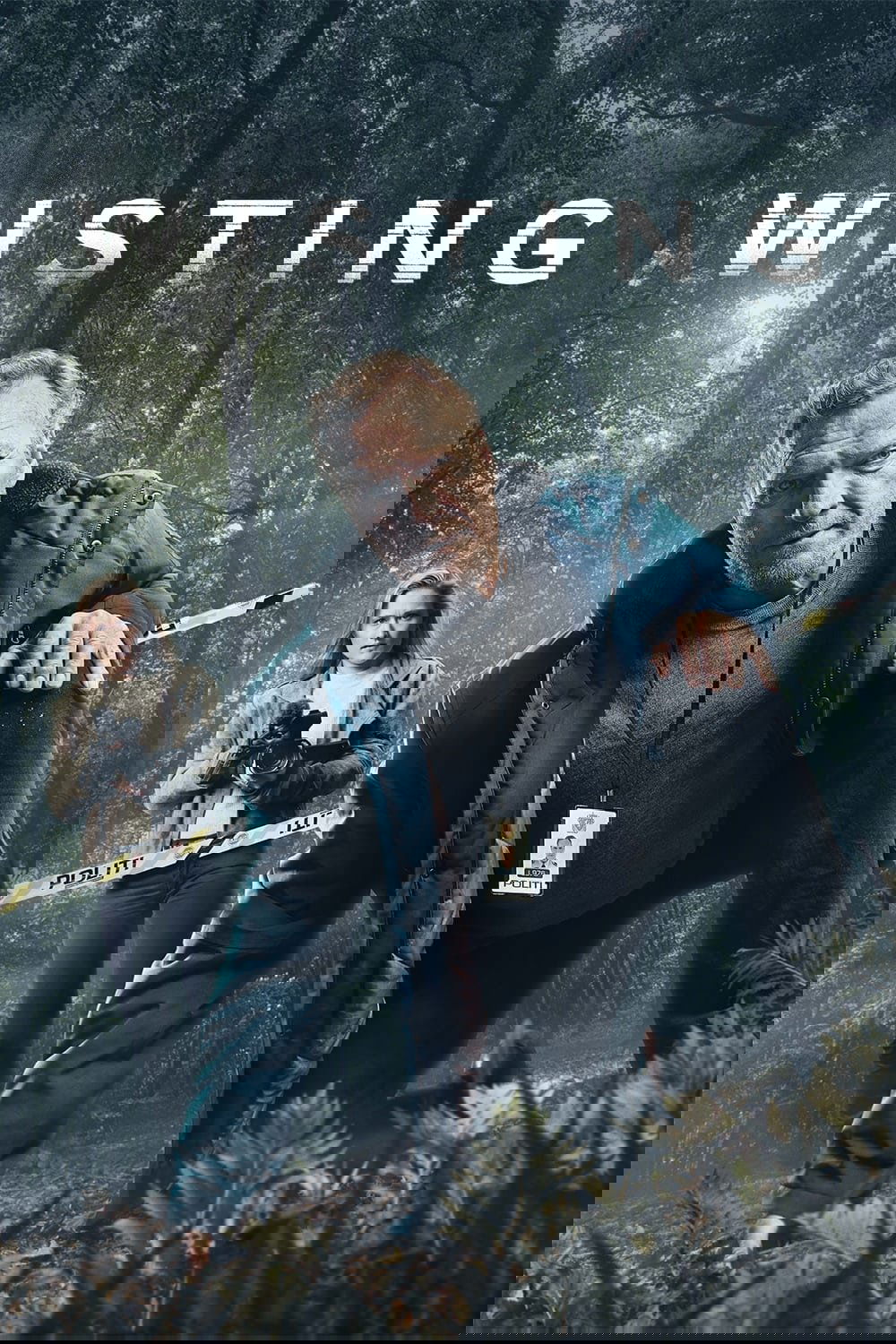 Poster de Wisting