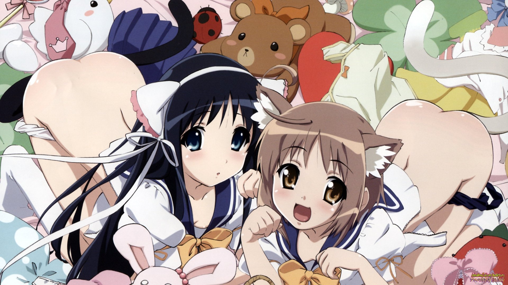 Backdrop image