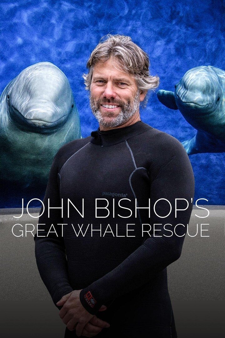 Poster de John Bishop's Great Whale Rescue