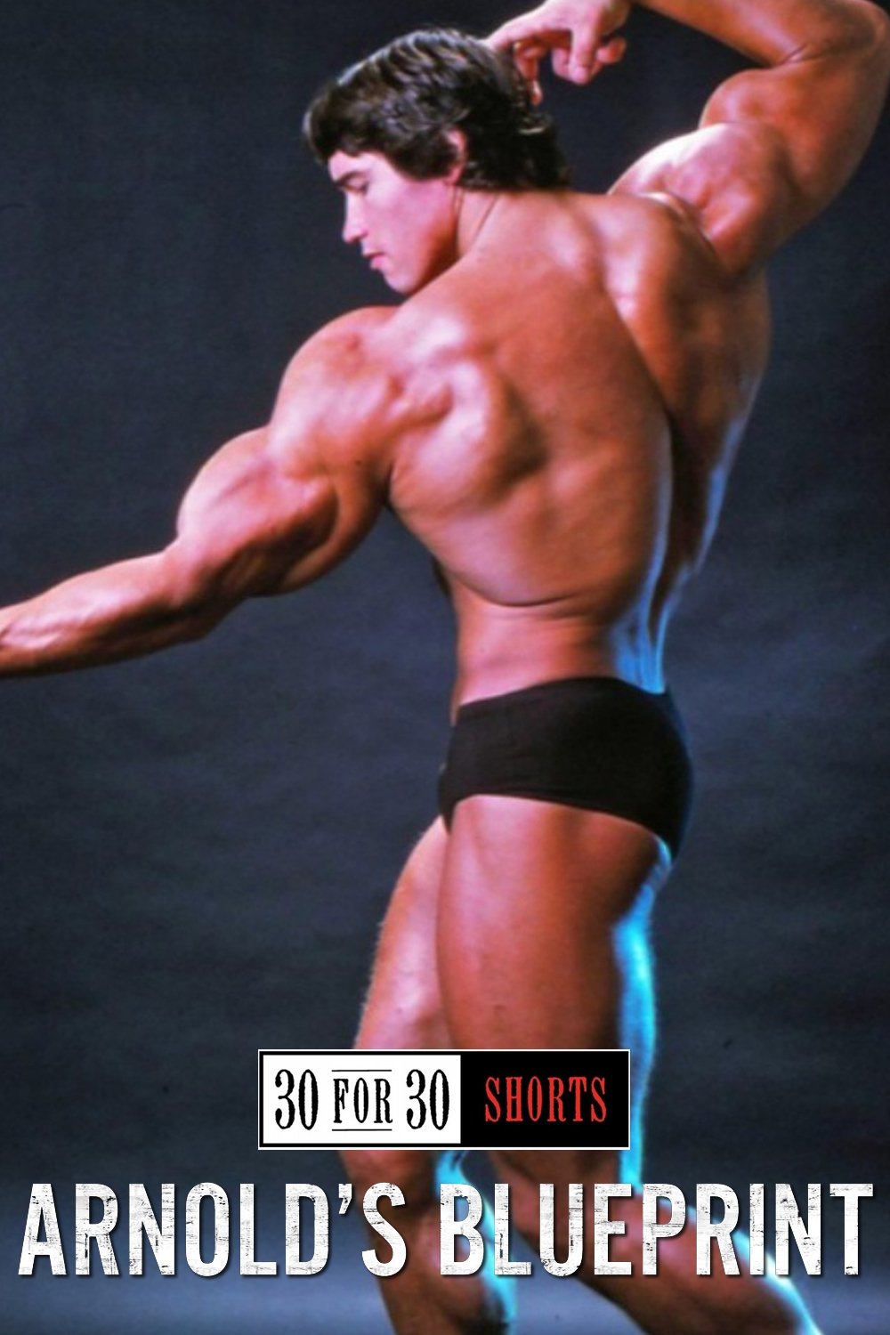 Poster de Arnold's Blueprint
