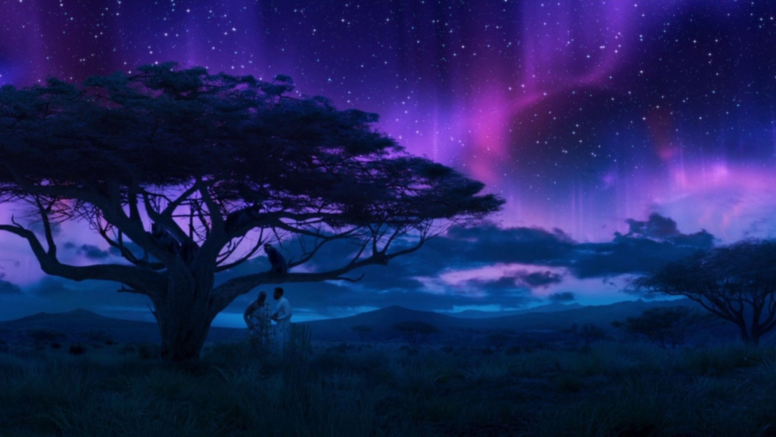 backdrops