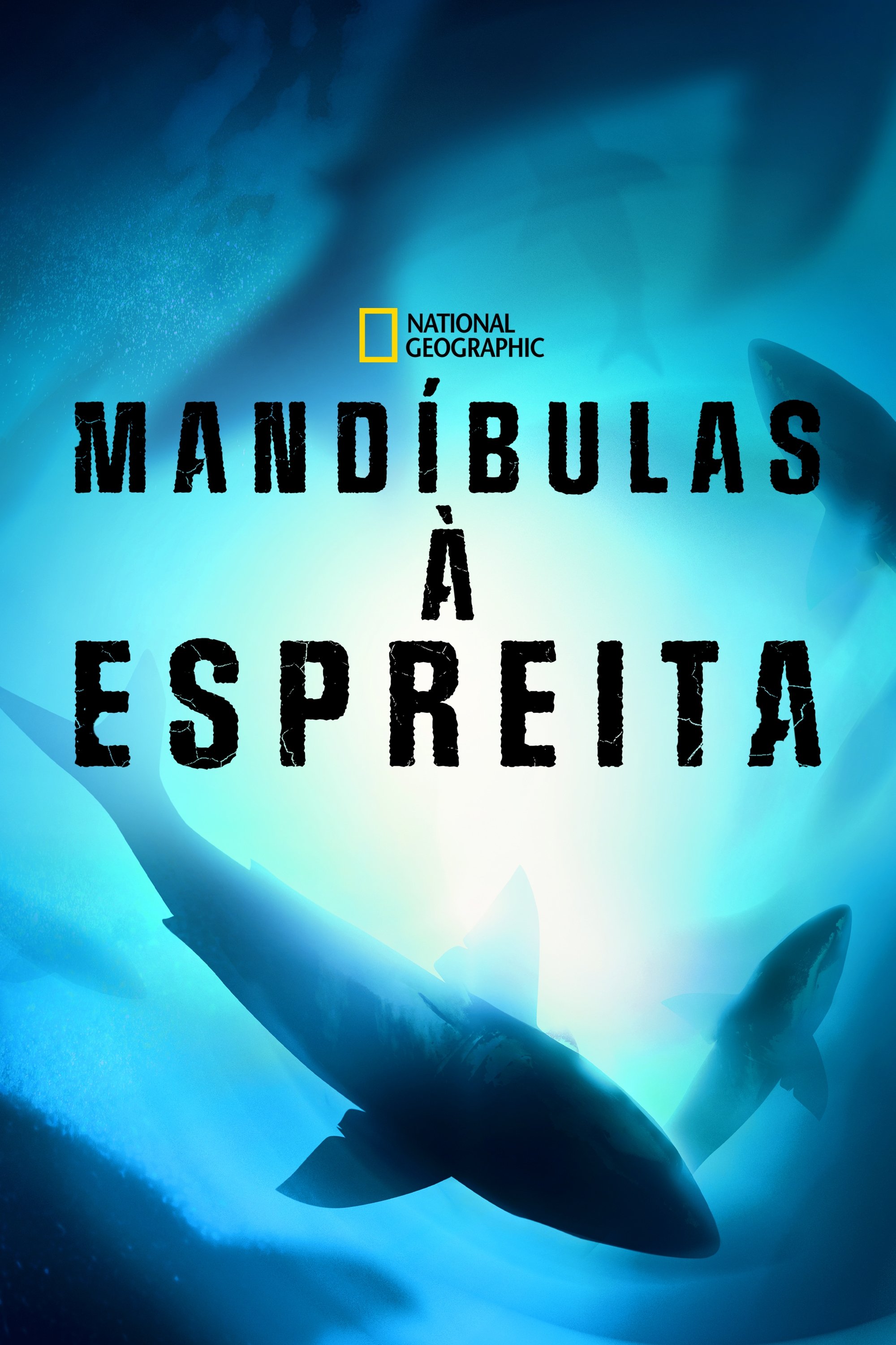 Poster de Mandíbulas à Espreita