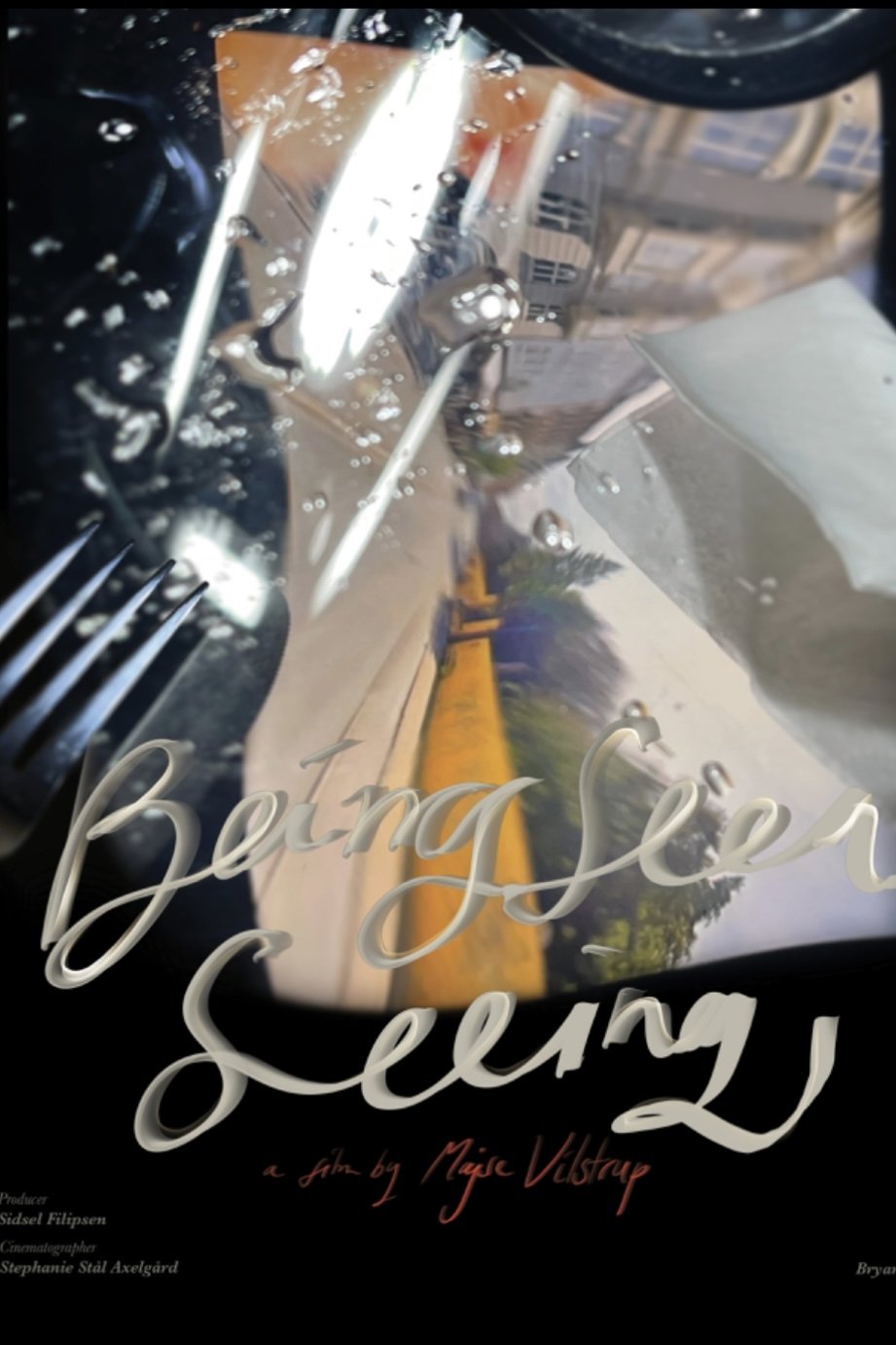 Poster de Being Seen Seeing