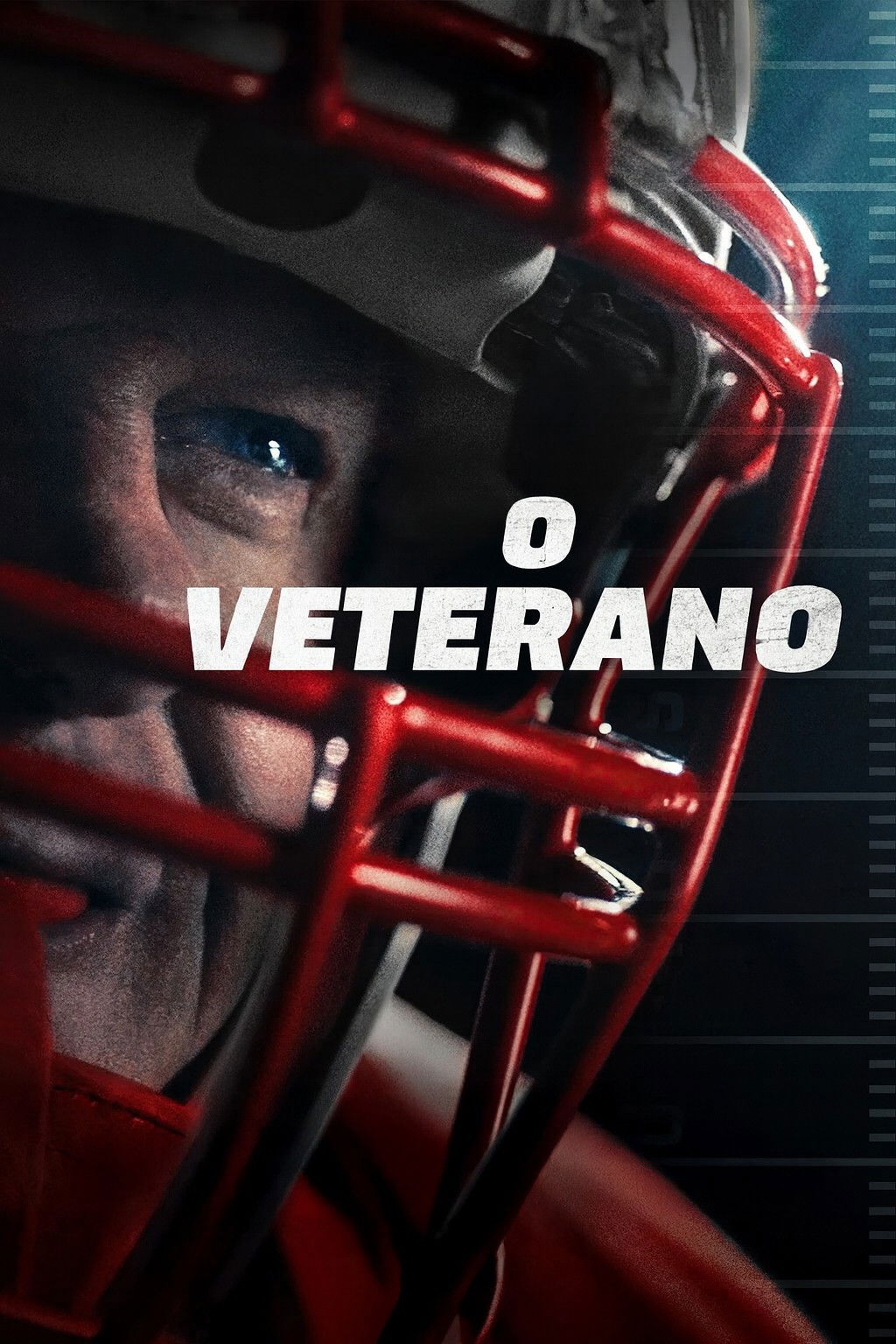 Poster de O Veterano