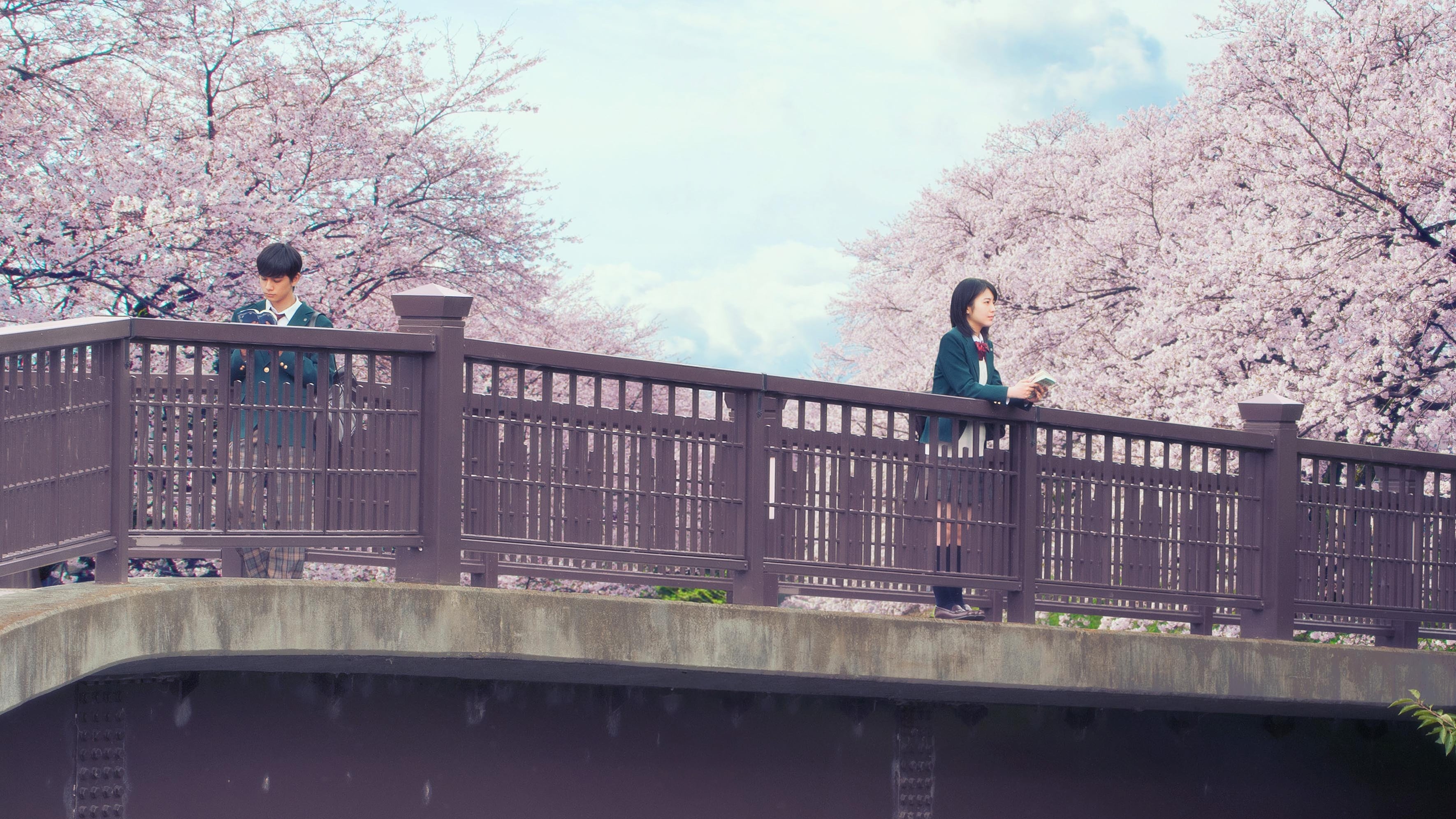 Let Me Eat Your Pancreas 2017 123movies