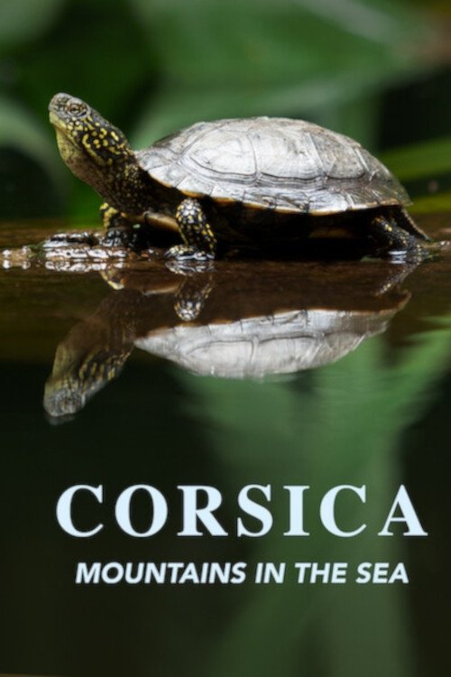 Poster de Corsica: Mountains in the Sea